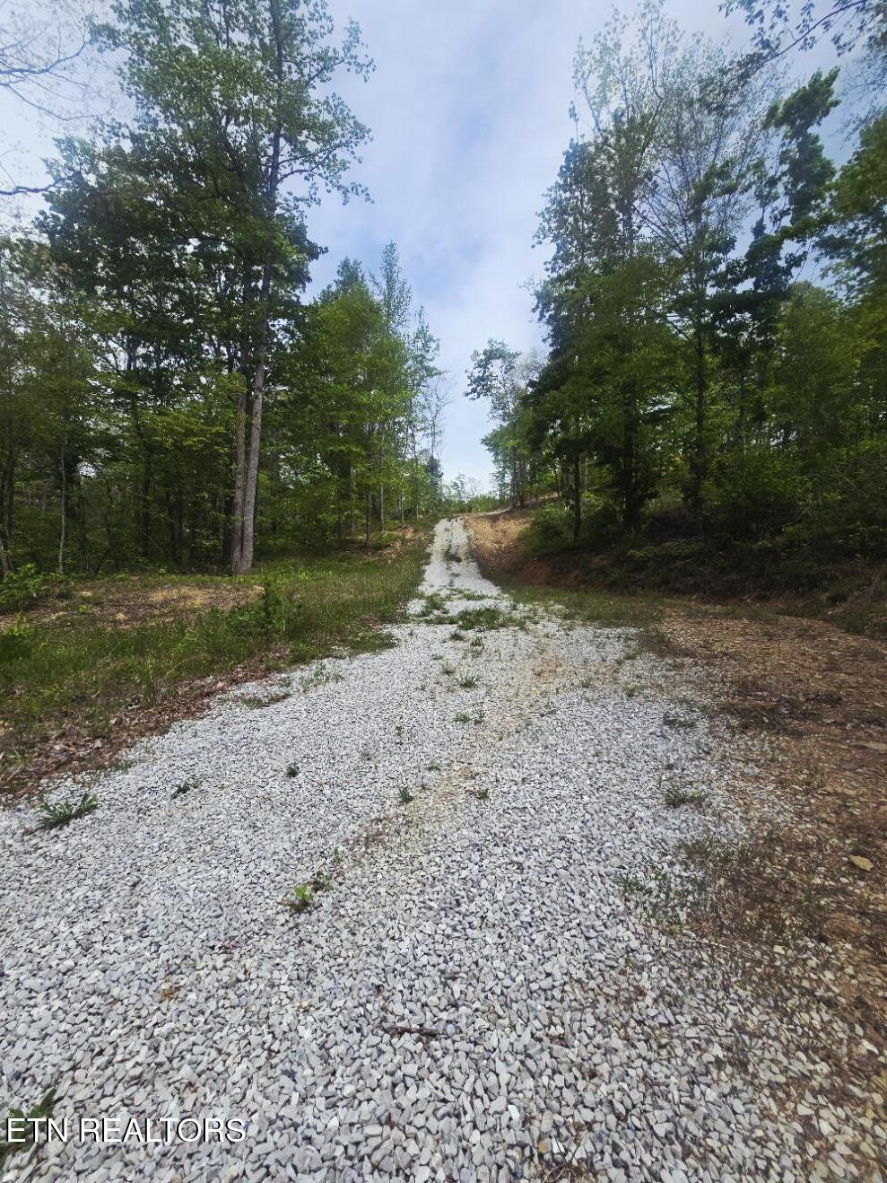 2774 Stanley Creek Road Oneida TN 37841