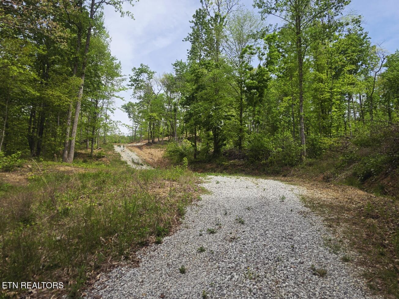 2774 Stanley Creek Road Oneida TN 37841