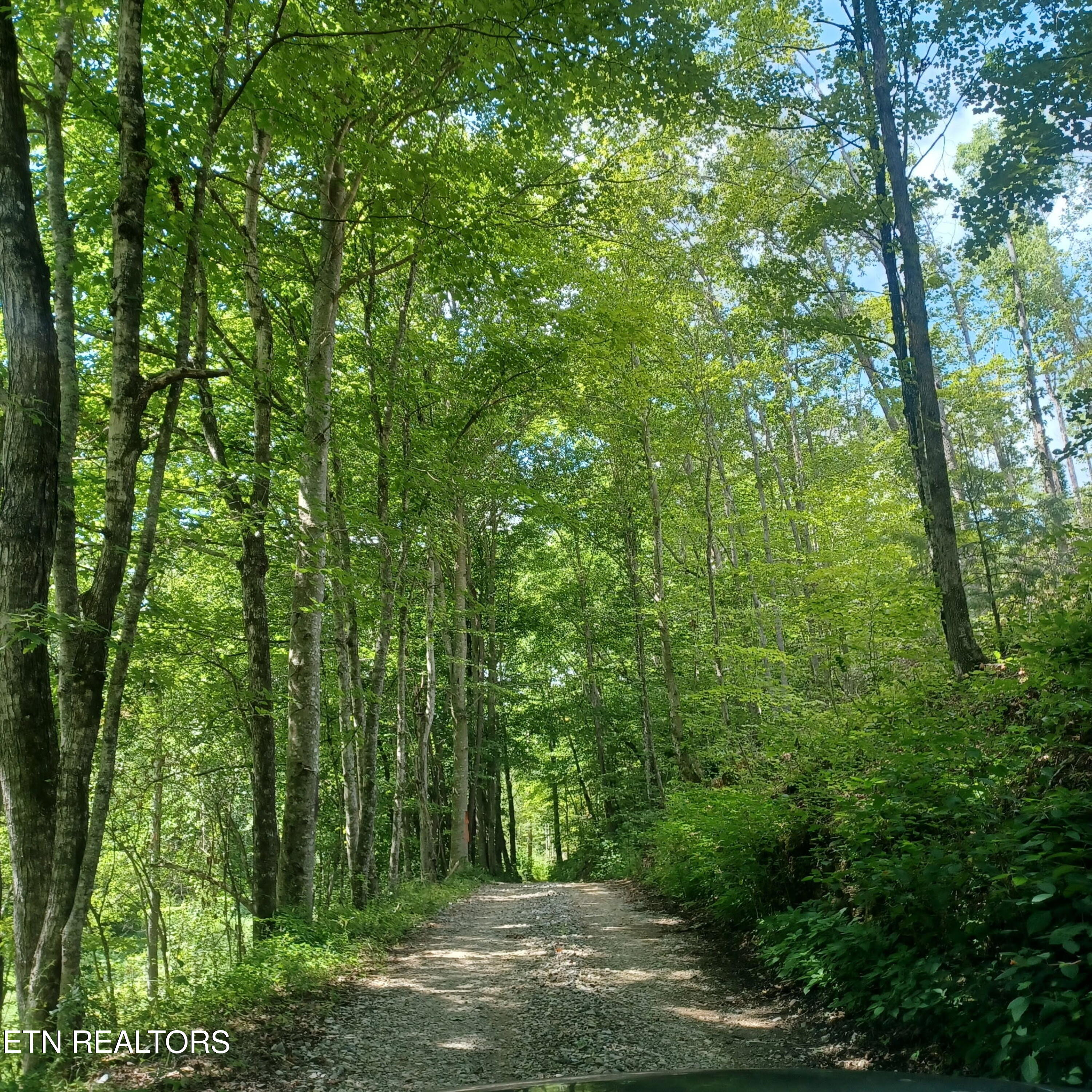 2774 Stanley Creek Road Oneida TN 37841