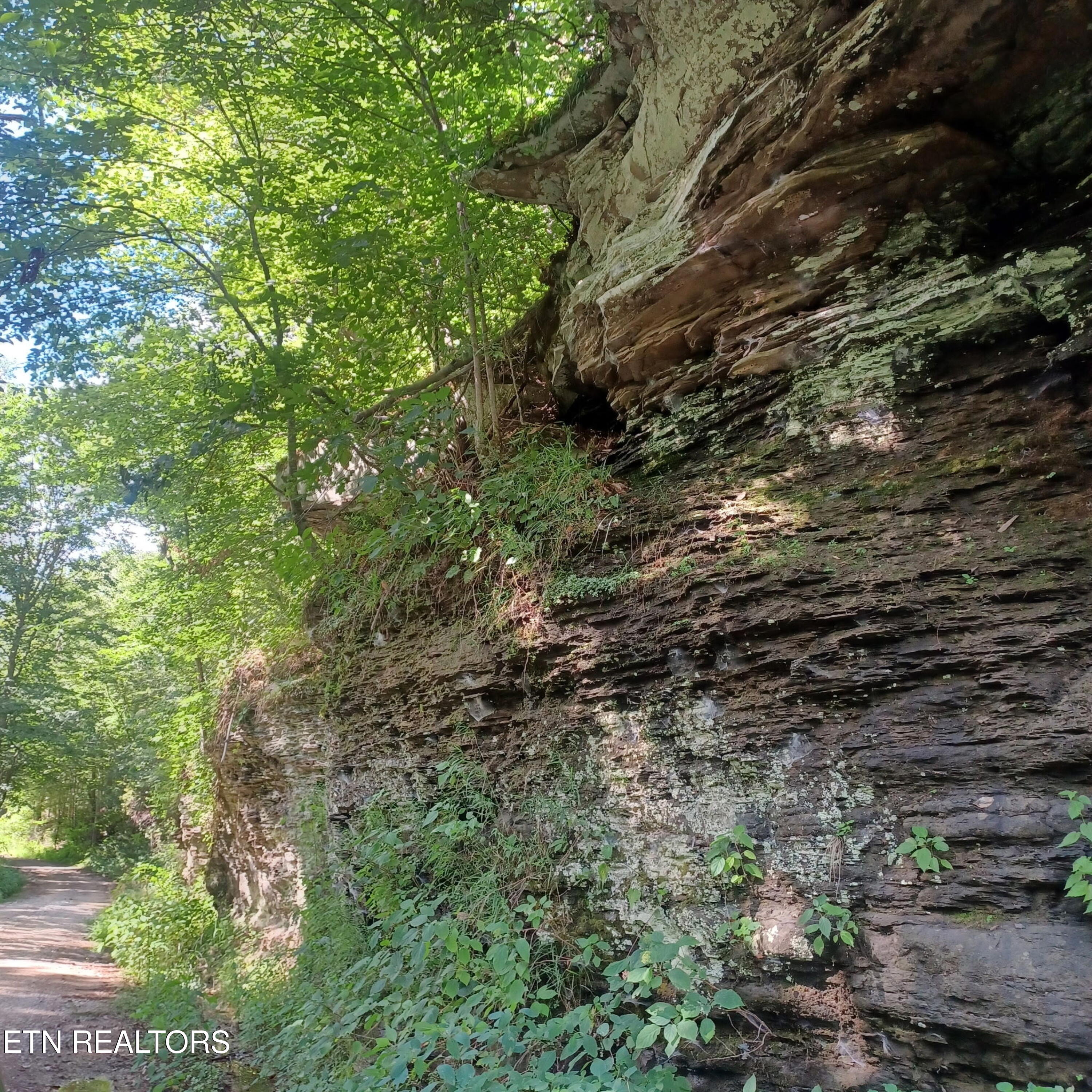 2774 Stanley Creek Road Oneida TN 37841