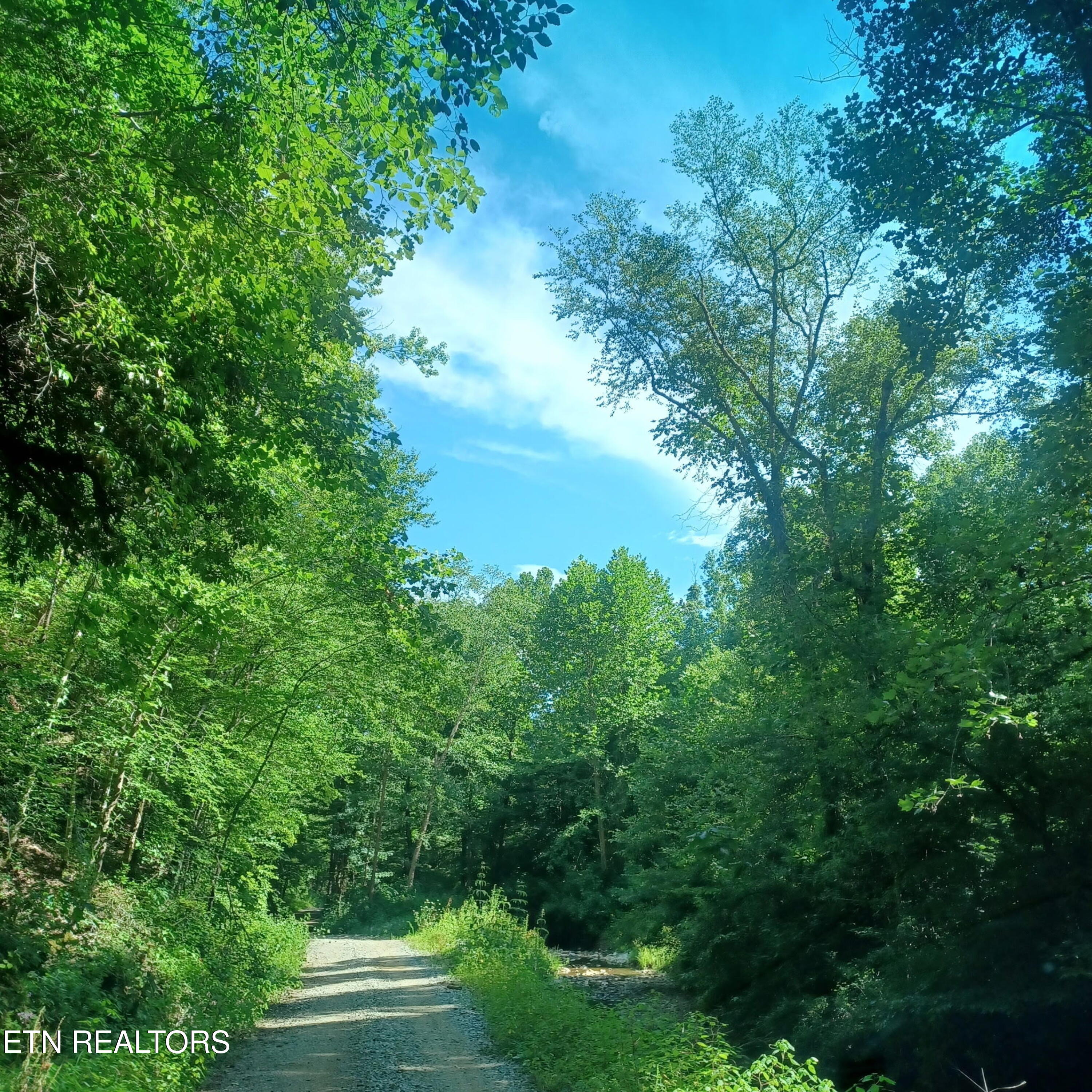 2774 Stanley Creek Road Oneida TN 37841