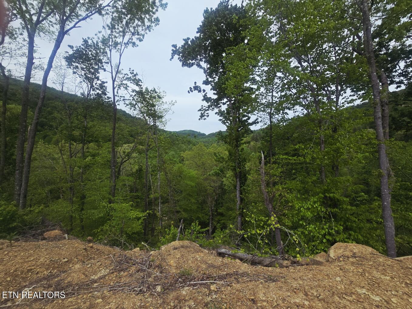 2774 Stanley Creek Road Oneida TN 37841
