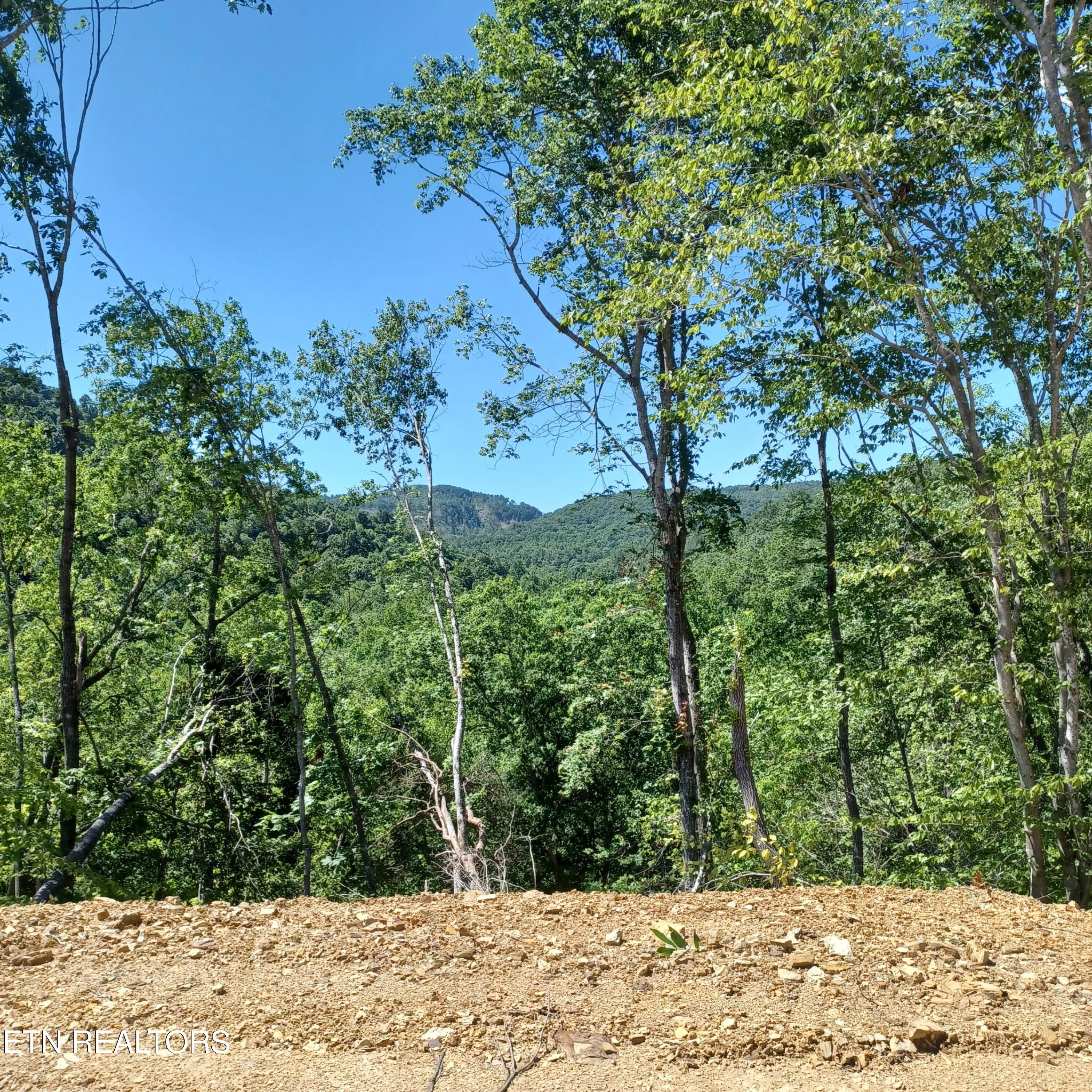 2774 Stanley Creek Road Oneida TN 37841