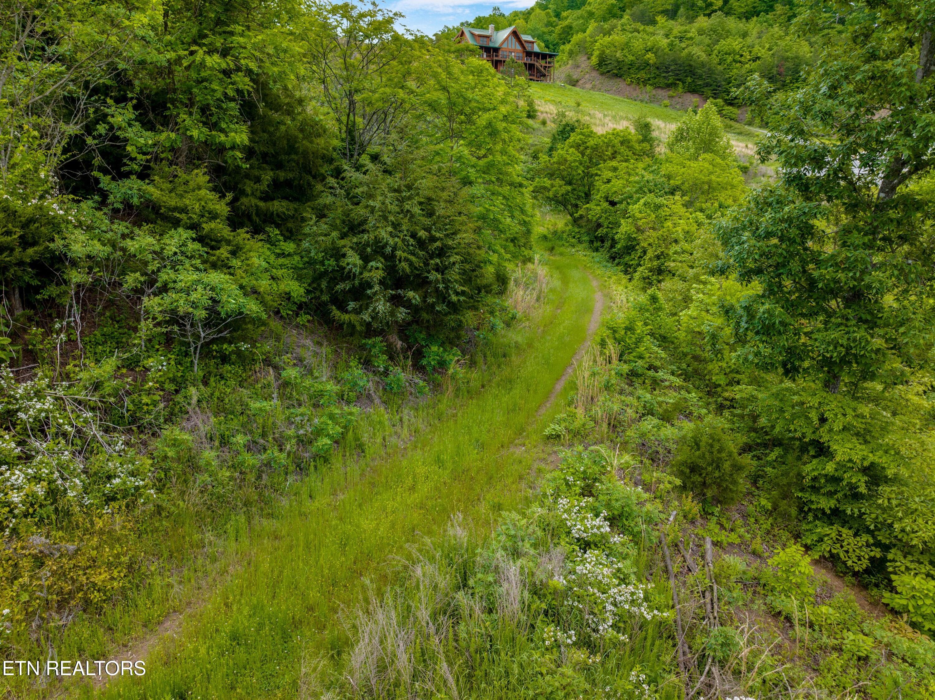 Lot 11 Longshore Drive Tazewell TN 37879