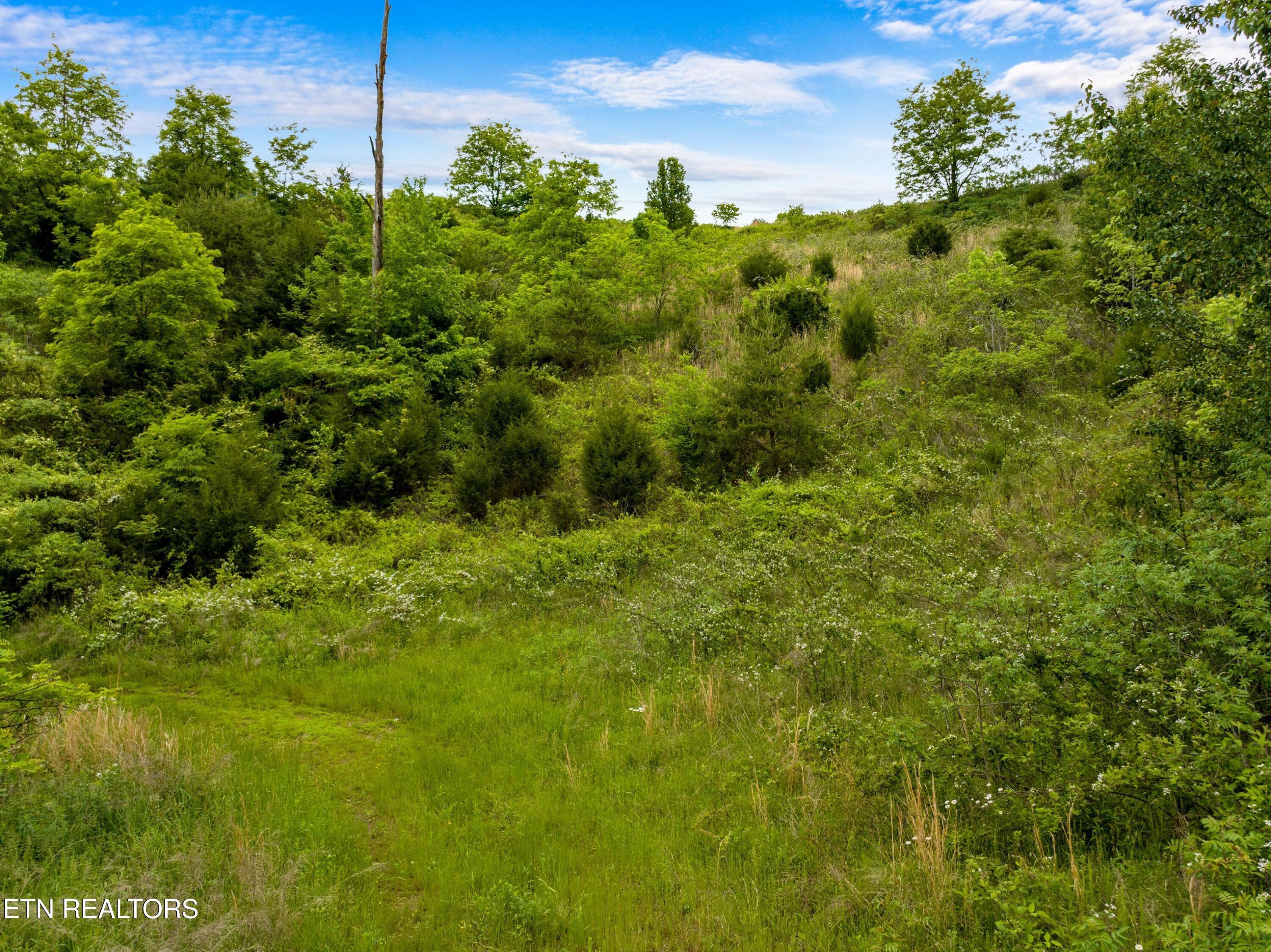 Lot 11 Longshore Drive Tazewell TN 37879