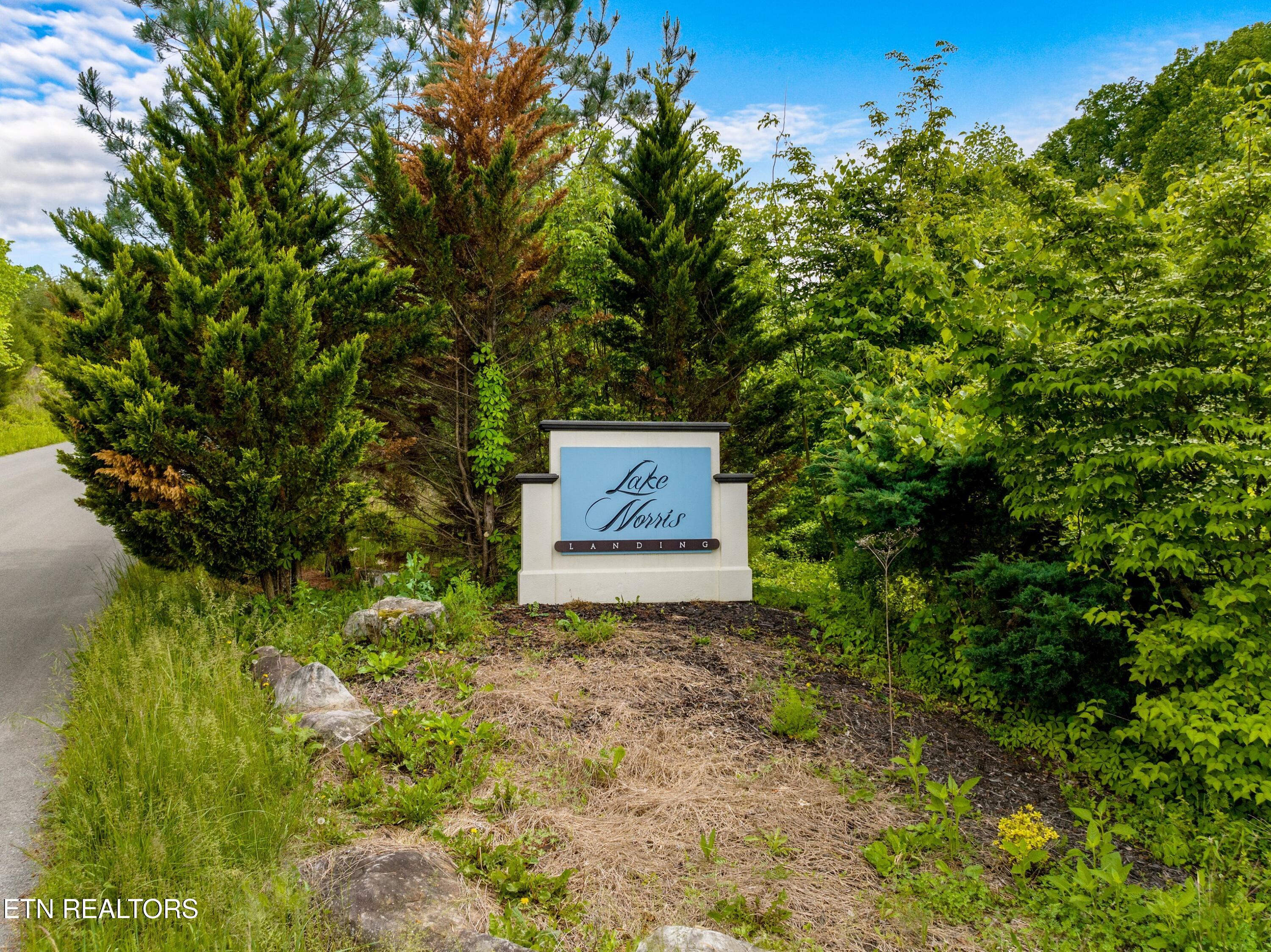 Lot 11 Longshore Drive Tazewell TN 37879