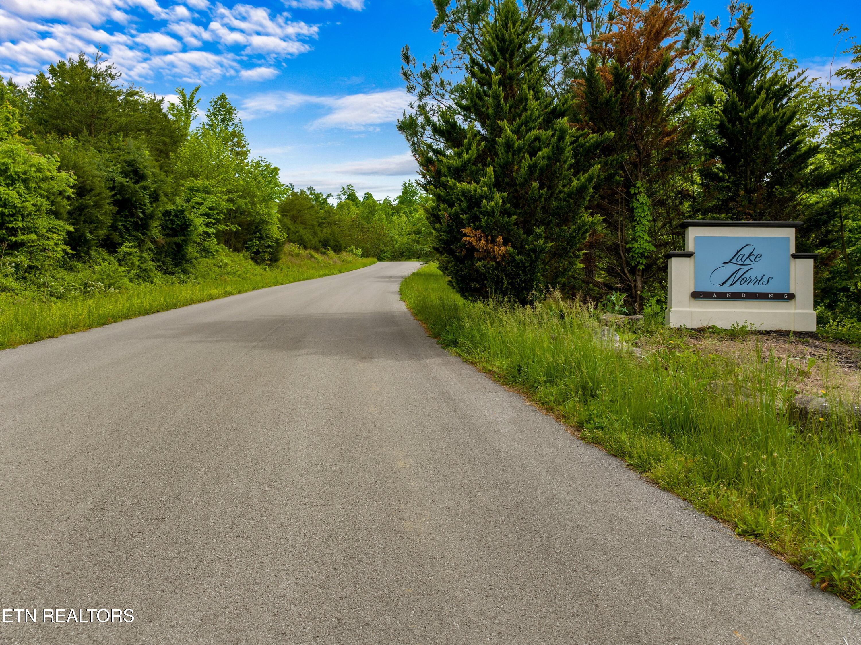 Lot 11 Longshore Drive Tazewell TN 37879
