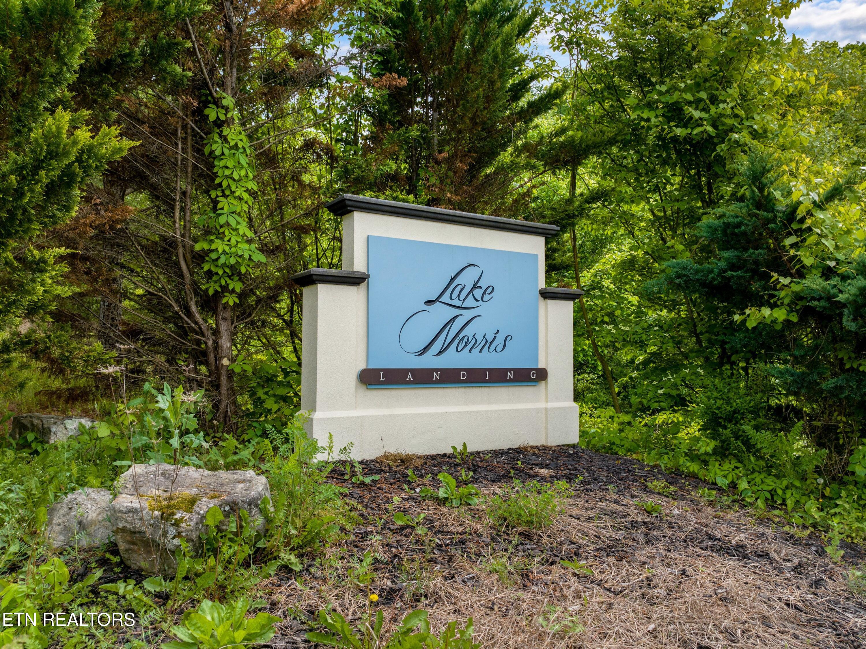 Lot 11 Longshore Drive Tazewell TN 37879