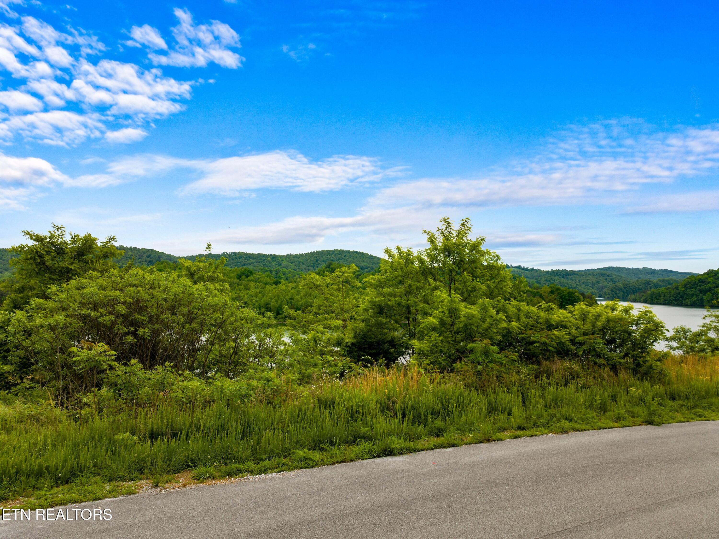Lot 11 Longshore Drive Tazewell TN 37879