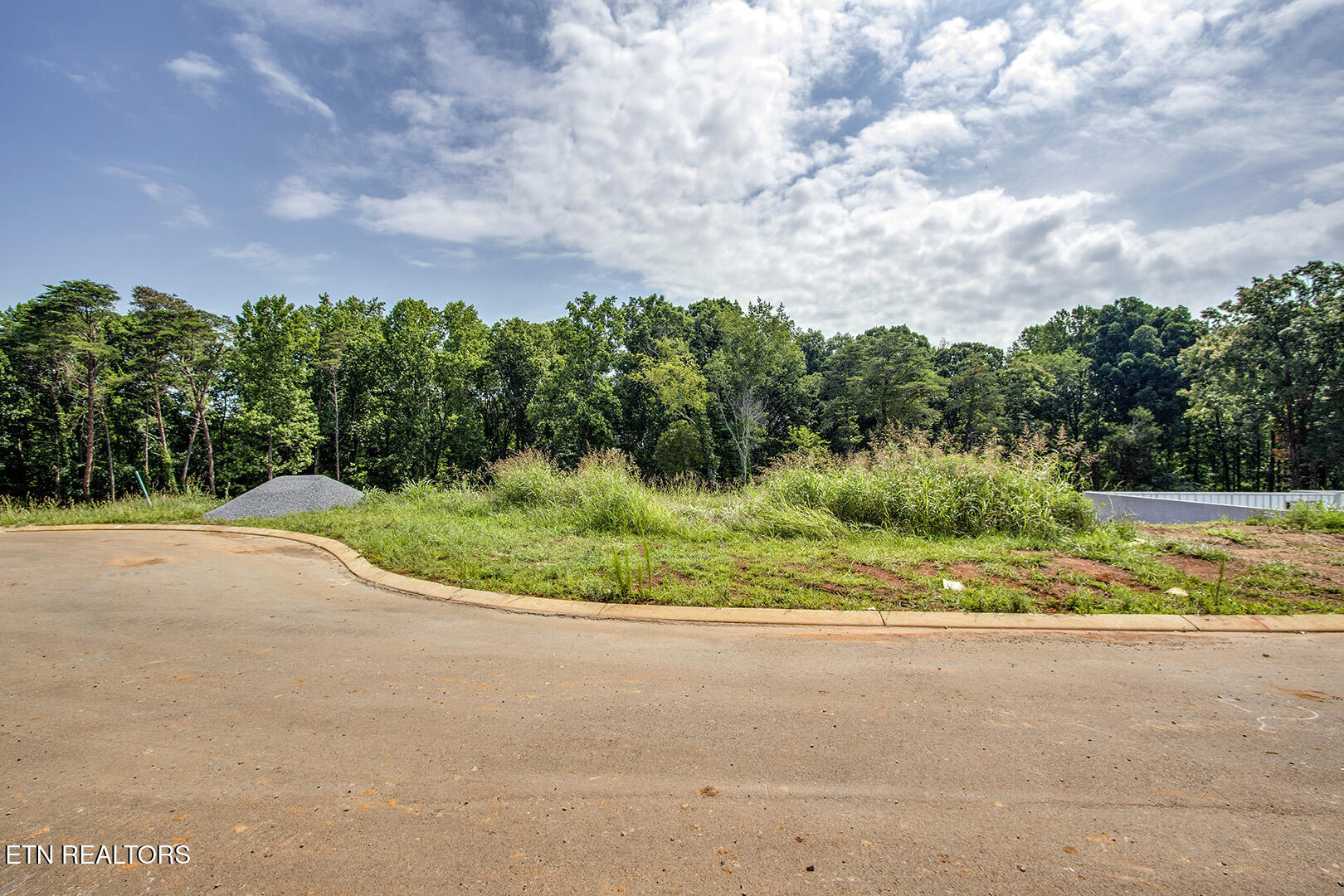 1114 Sophie Drive Greenback TN 37742