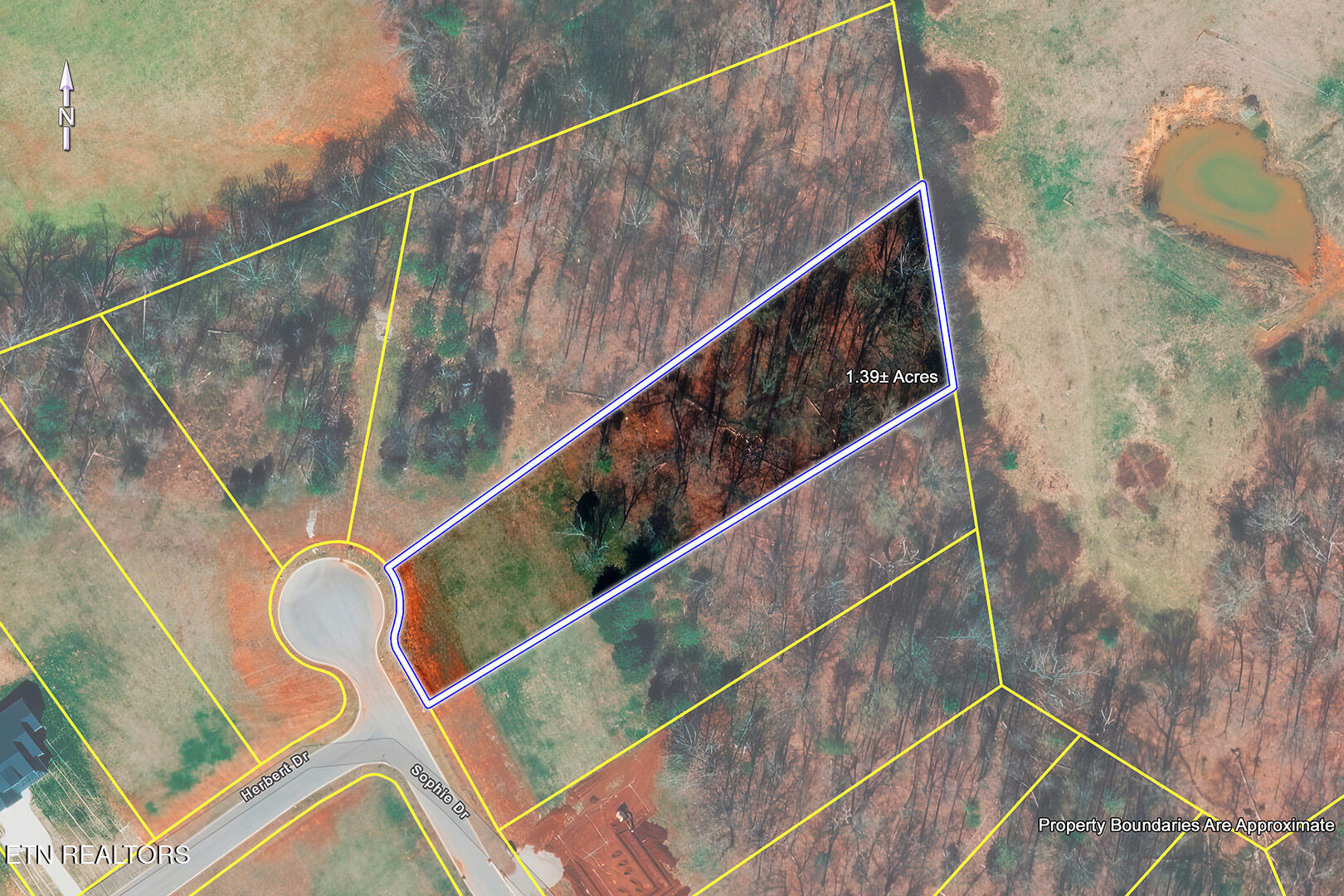 1114 Sophie Drive Greenback TN 37742