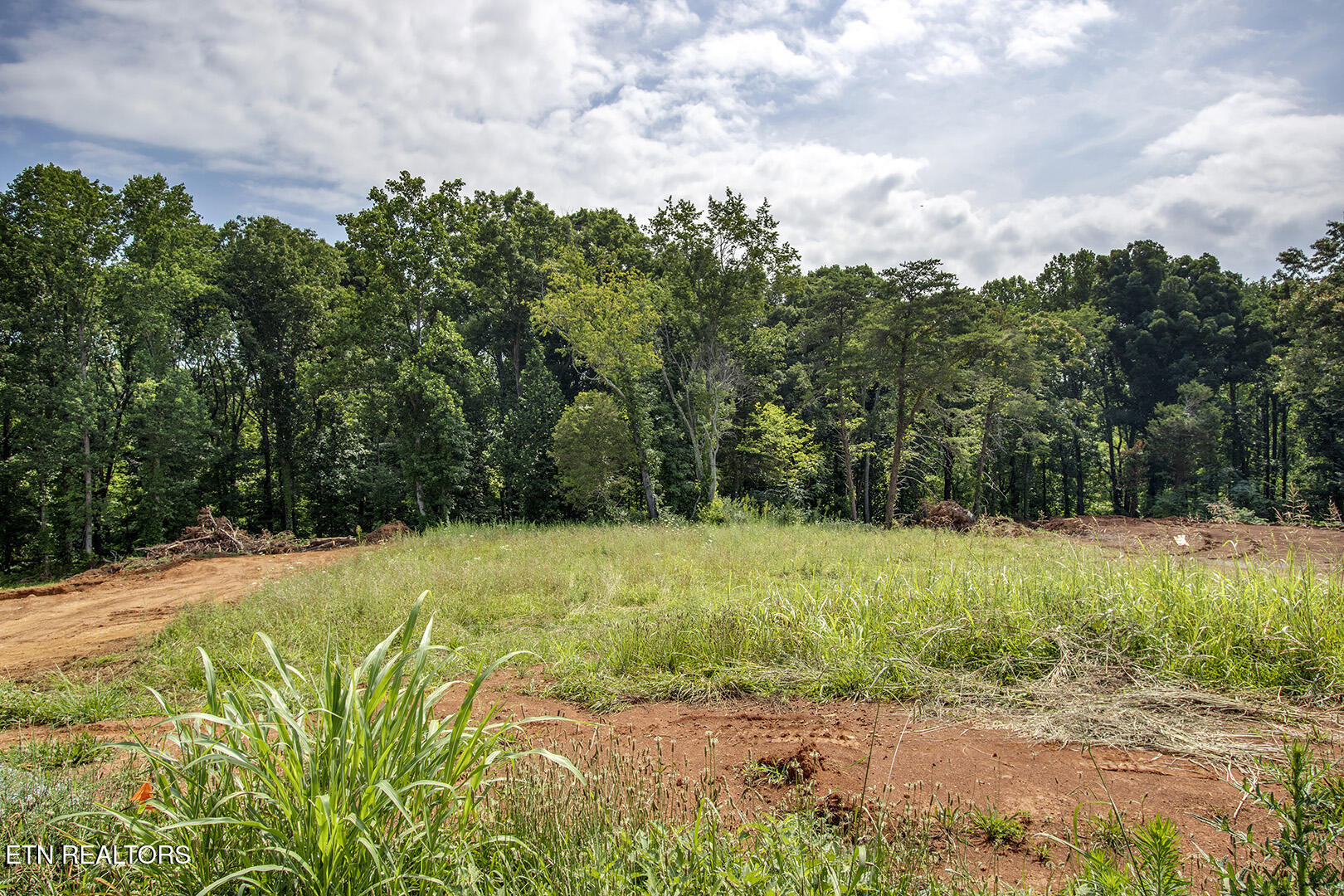 1114 Sophie Drive Greenback TN 37742