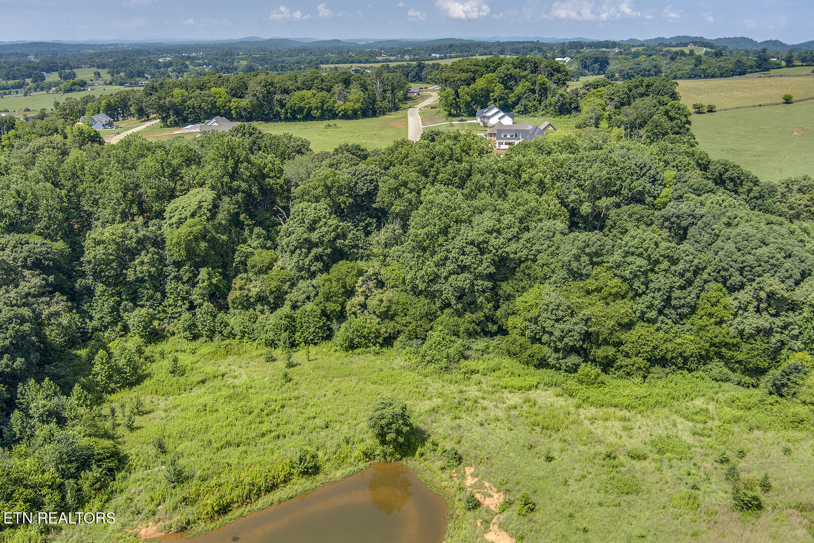 1114 Sophie Drive Greenback TN 37742