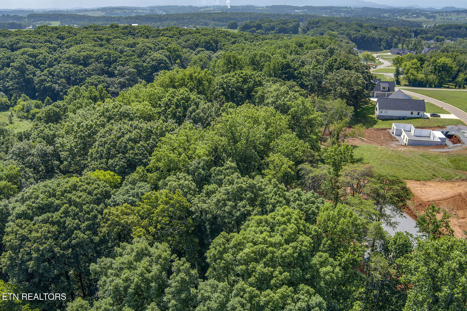 1114 Sophie Drive Greenback TN 37742