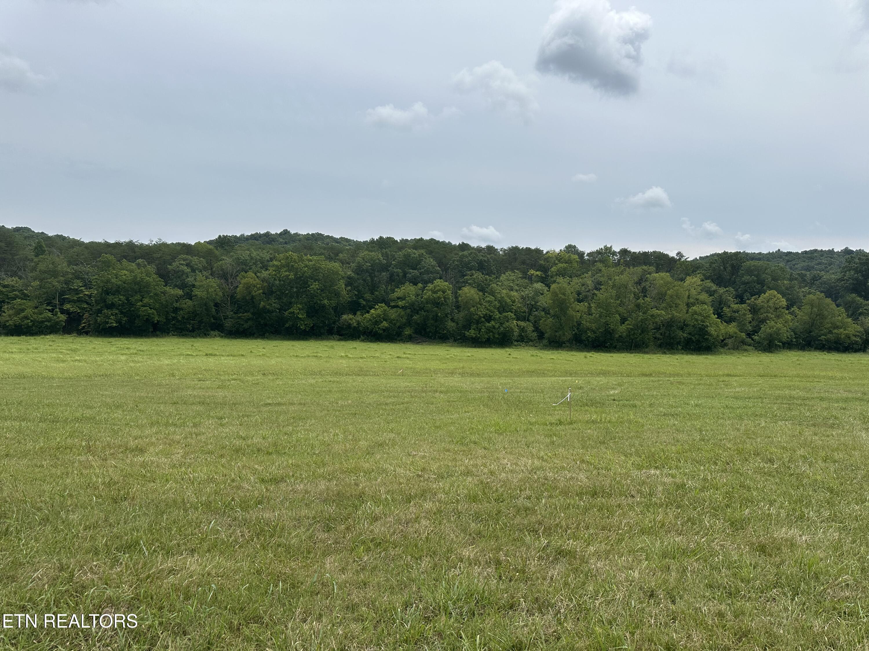 Lot 2 Rutledge Pike Blaine TN 37709