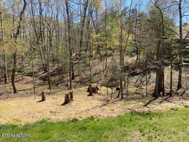 Mariners Point Fairfield Glade TN 38558