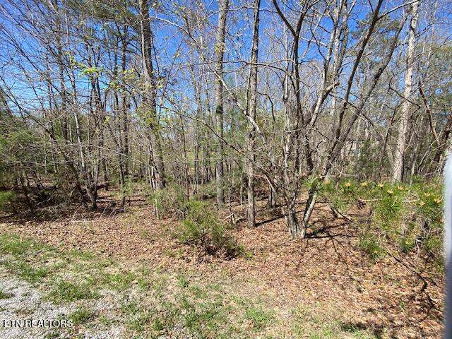 Mariners Point Fairfield Glade TN 38558