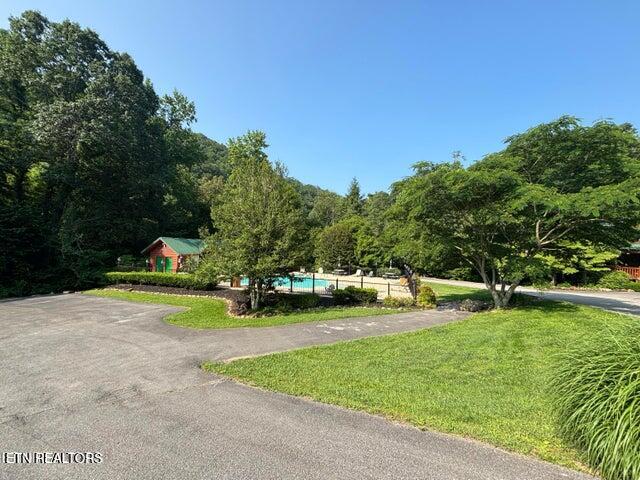 Smoky Cove Road Sevierville TN 37876
