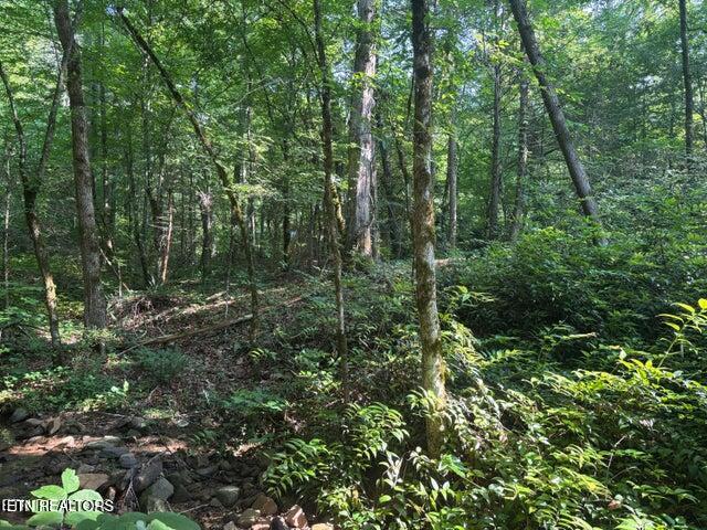 Smoky Cove Road Sevierville TN 37876