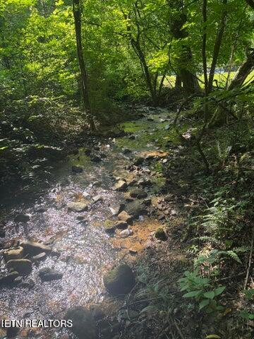 Smoky Cove Road Sevierville TN 37876