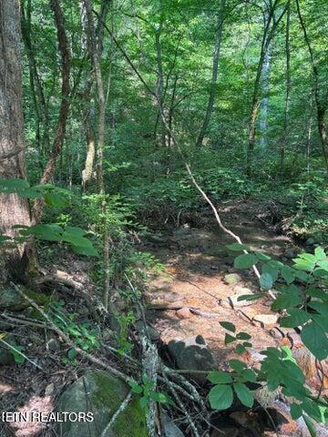 Smoky Cove Road Sevierville TN 37876