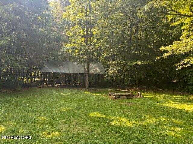 Smoky Cove Road Sevierville TN 37876