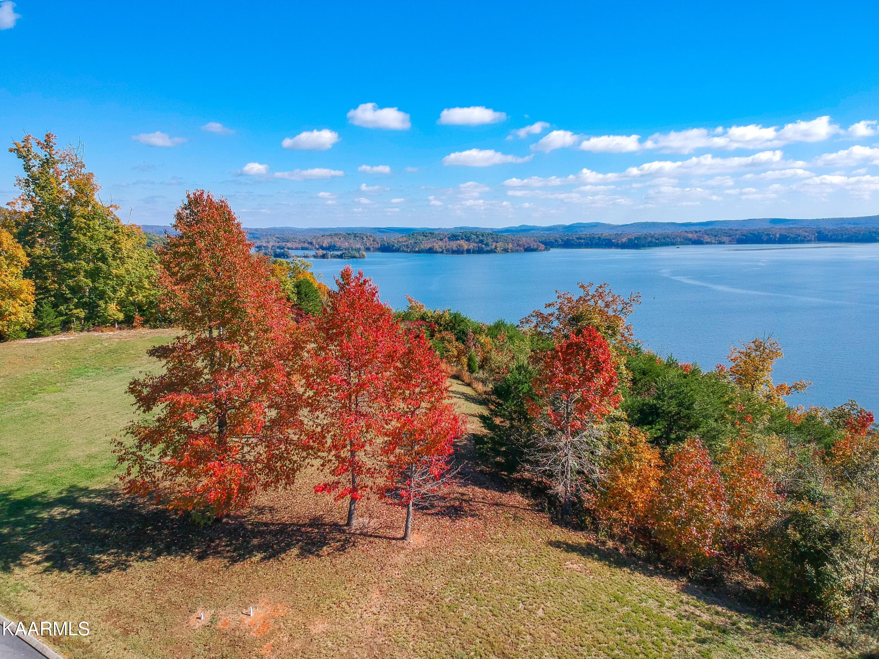 245 River Run Trail Spring City TN 37381