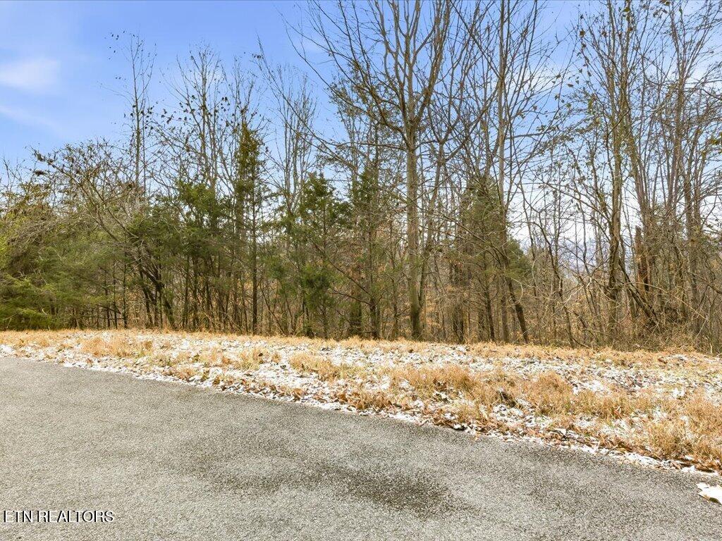 Lot 499 Citron Lane New Tazewell TN 37825