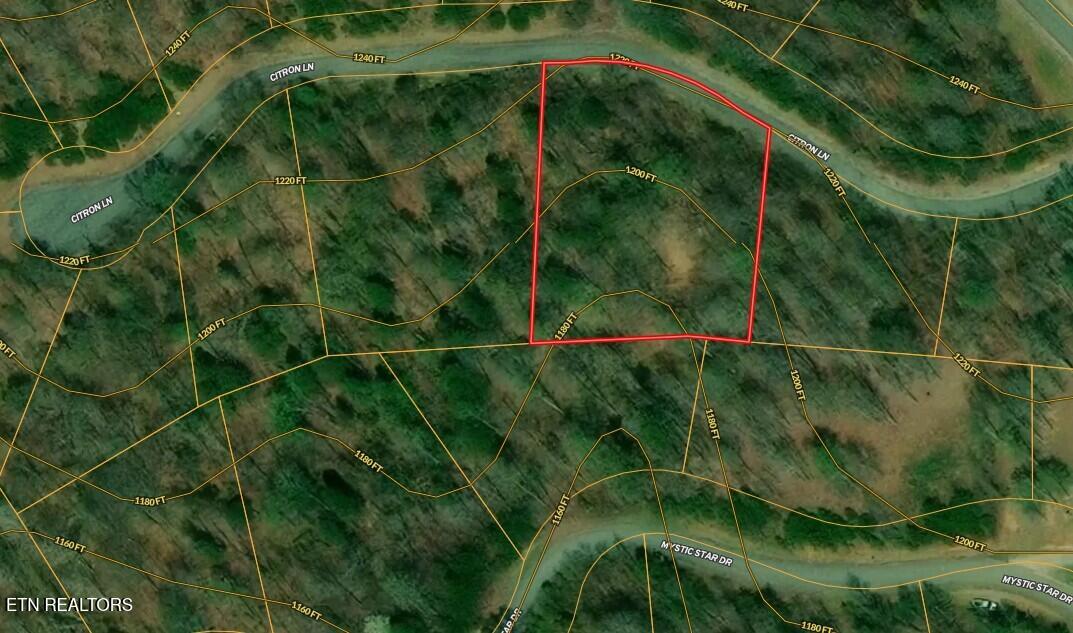 Lot 499 Citron Lane New Tazewell TN 37825