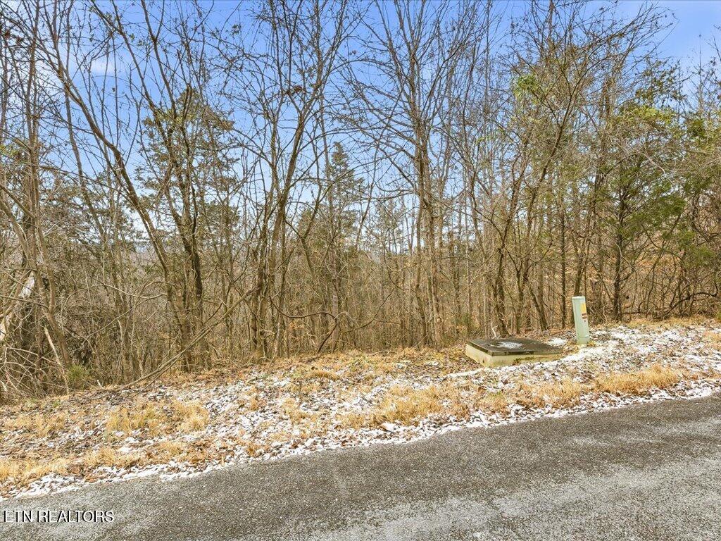 Lot 499 Citron Lane New Tazewell TN 37825