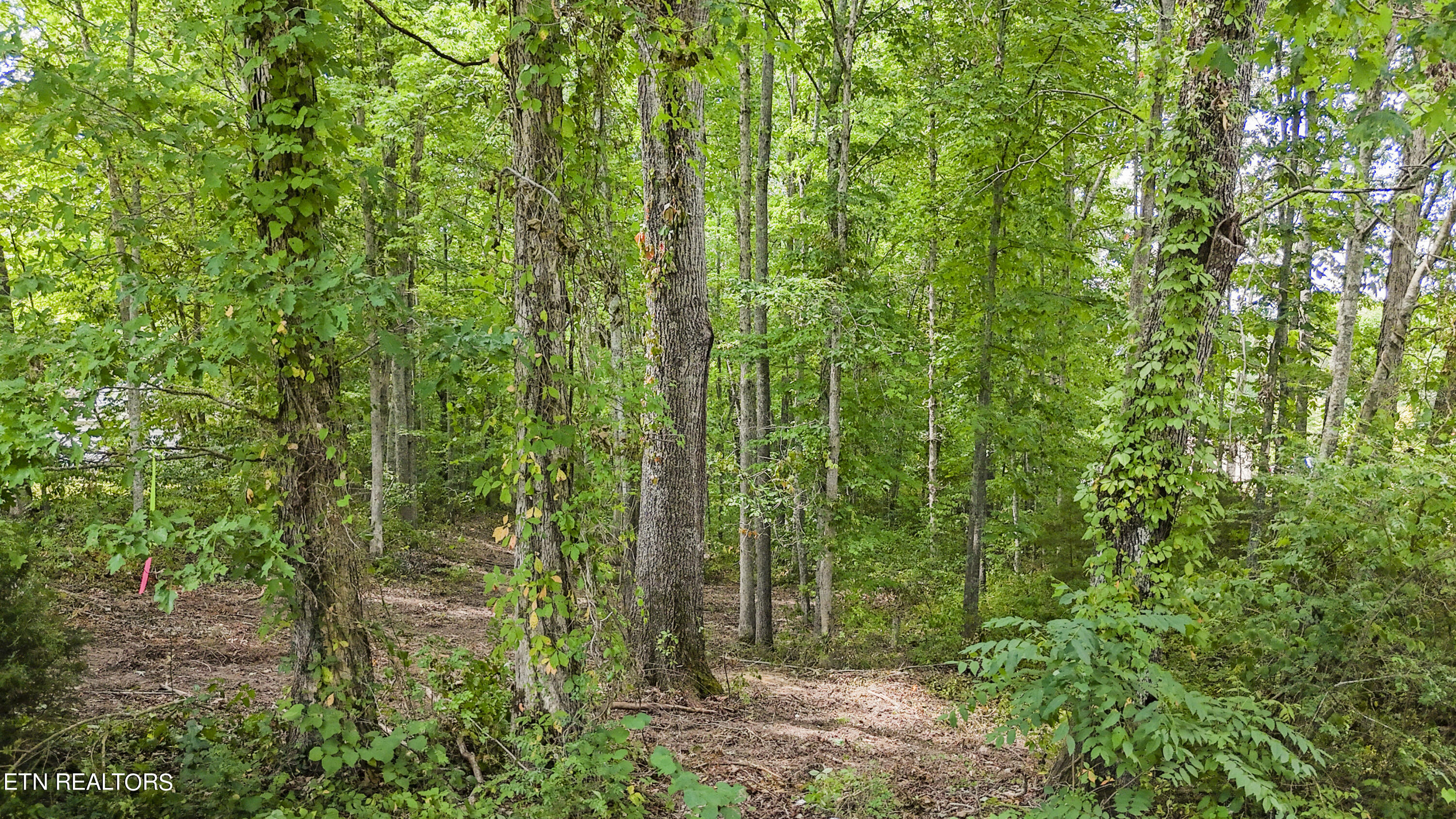 Big Spring Road Oneida TN 37841