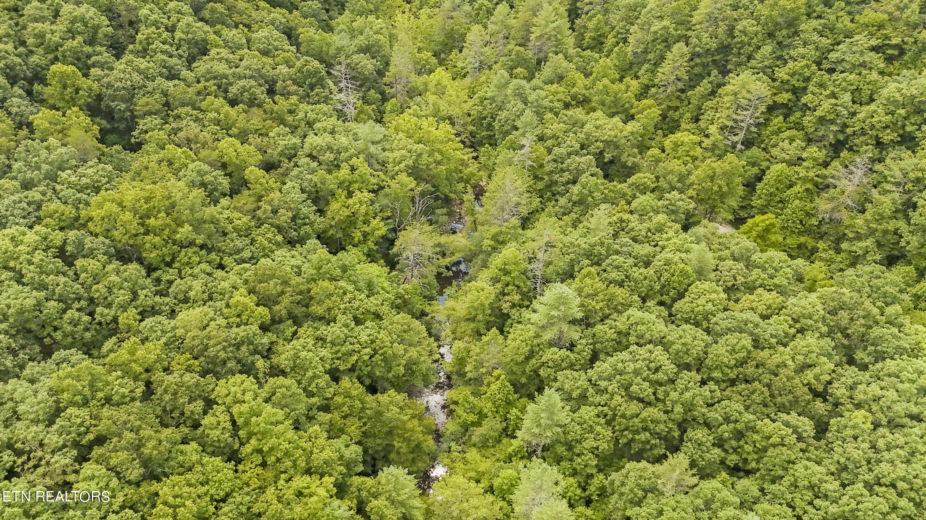 Big Spring Road Oneida TN 37841