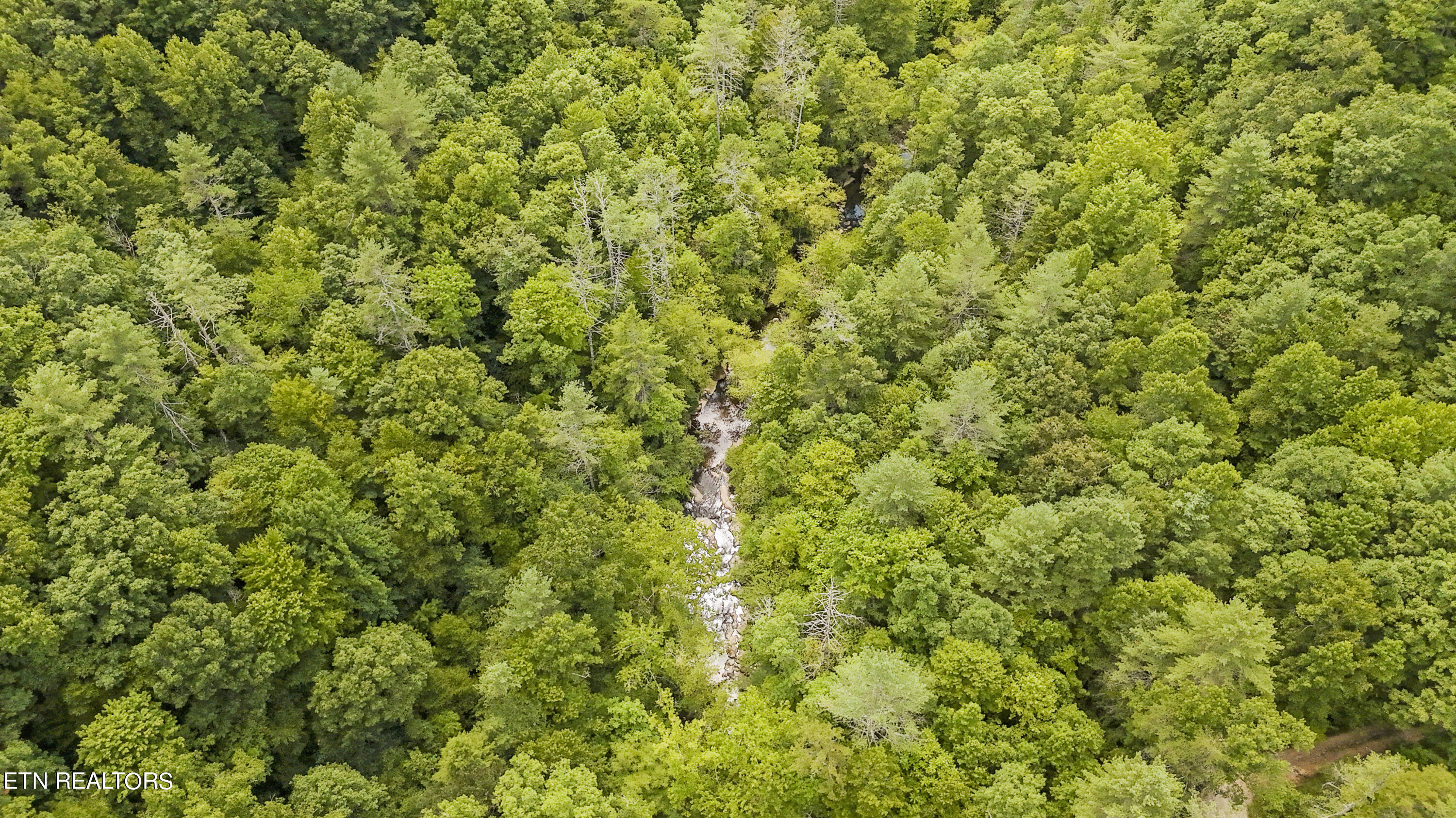 Big Spring Road Oneida TN 37841