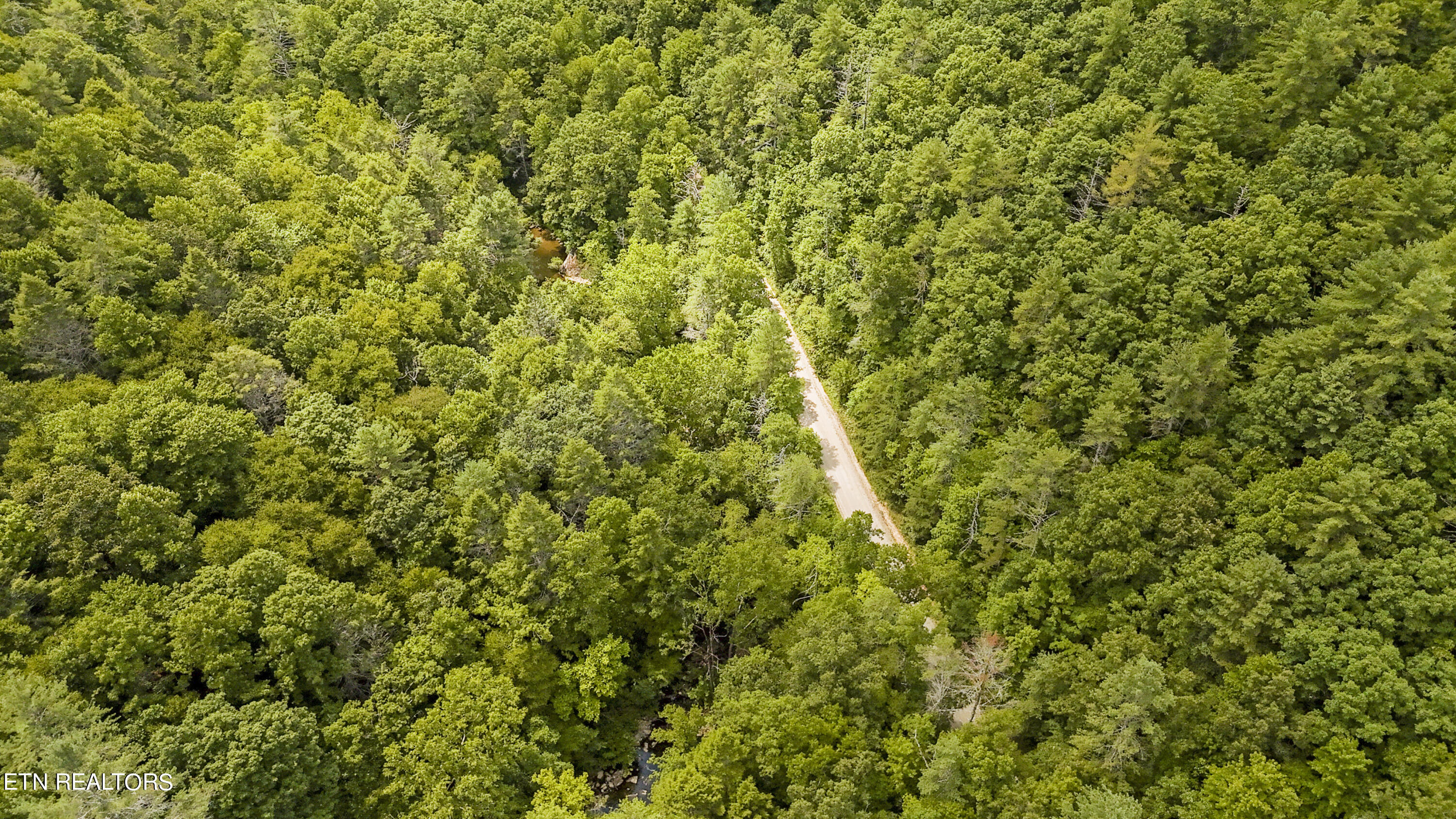 Big Spring Road Oneida TN 37841
