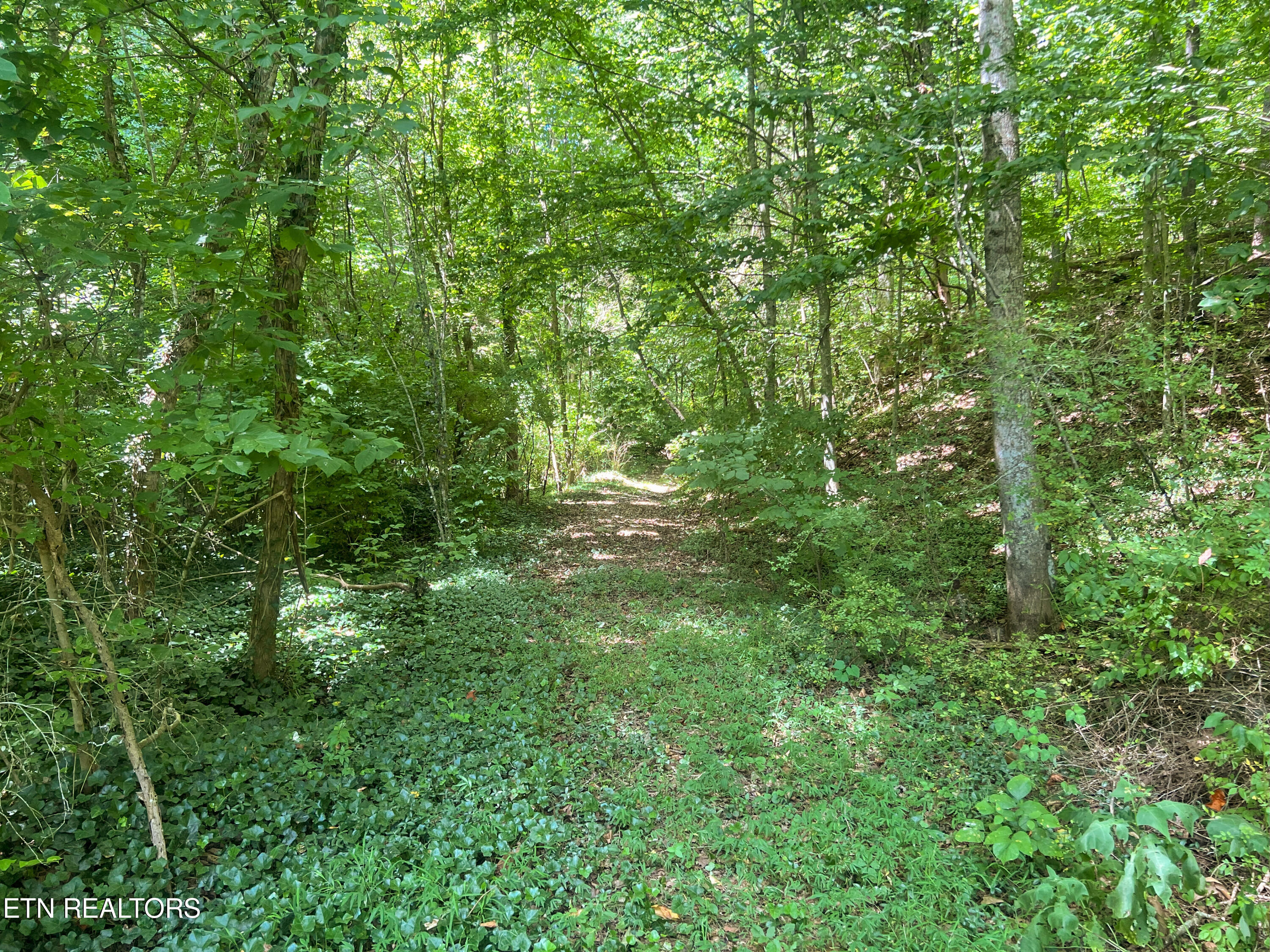 Big Spring Road Oneida TN 37841