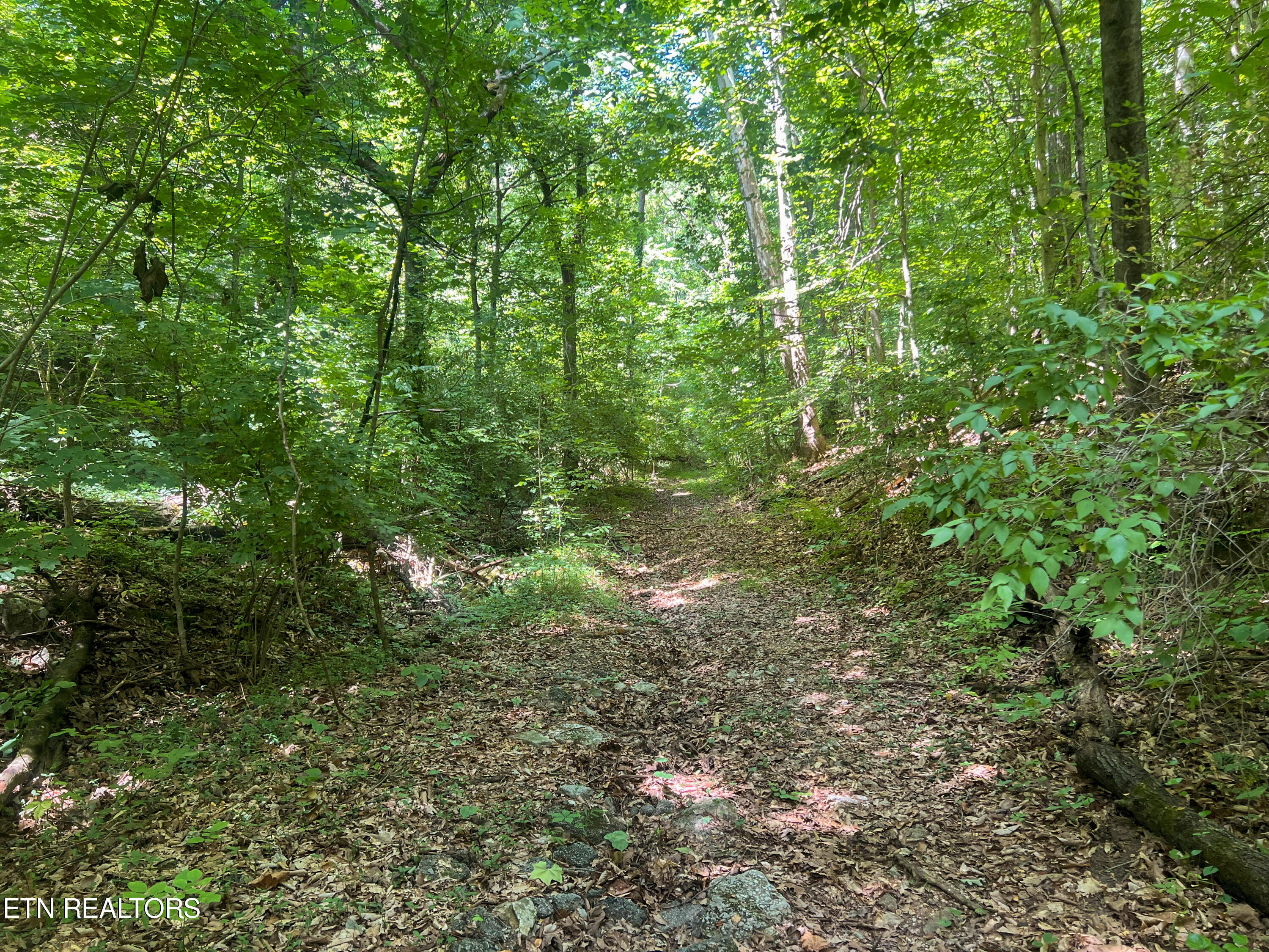 Big Spring Road Oneida TN 37841