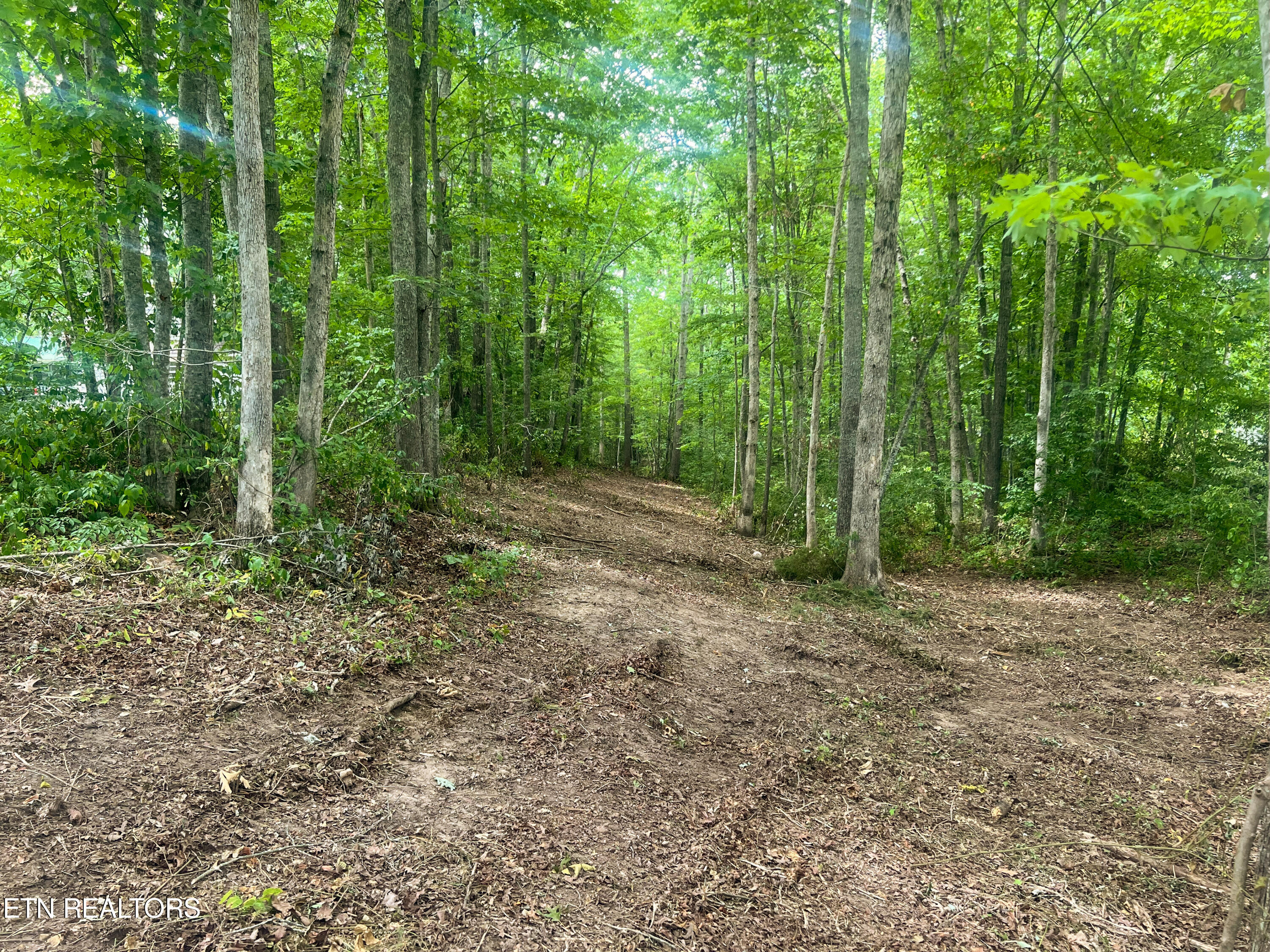 Big Spring Road Oneida TN 37841
