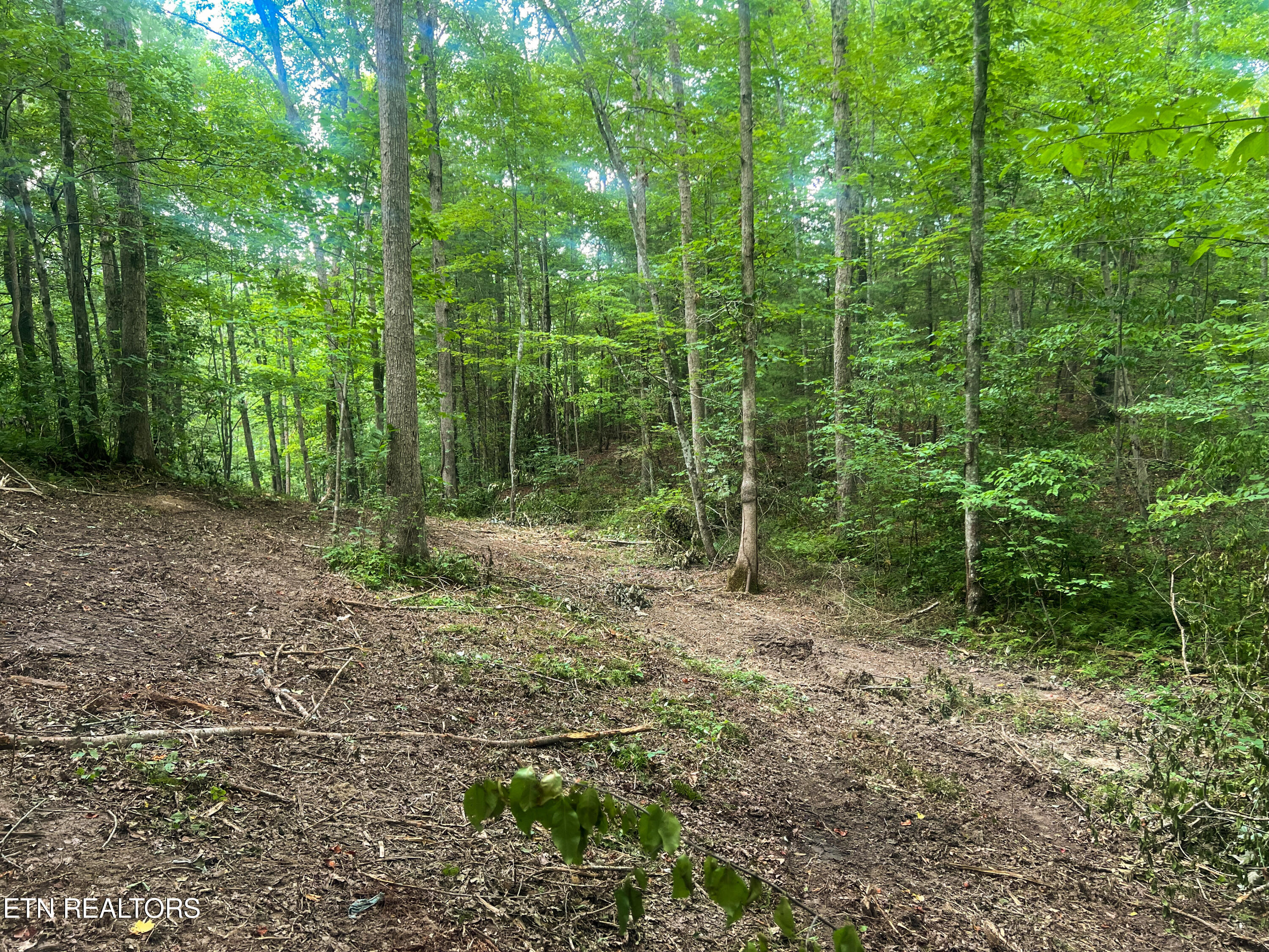 Big Spring Road Oneida TN 37841