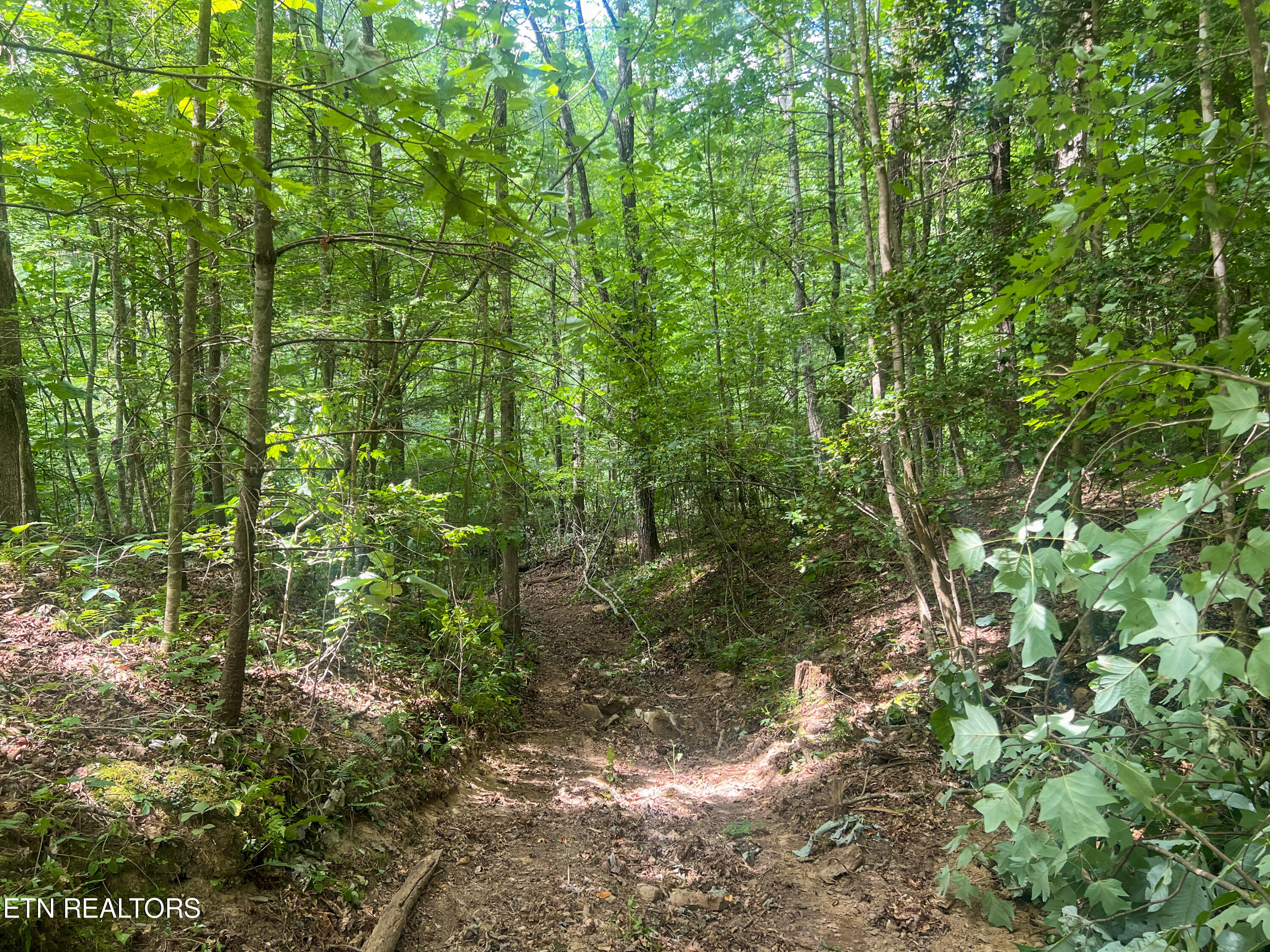 Big Spring Road Oneida TN 37841