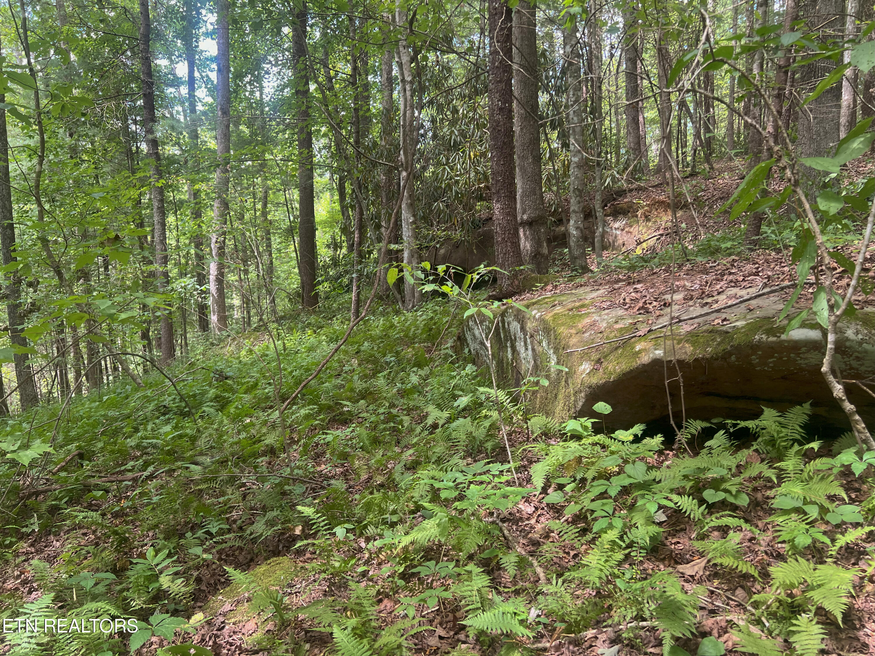 Big Spring Road Oneida TN 37841