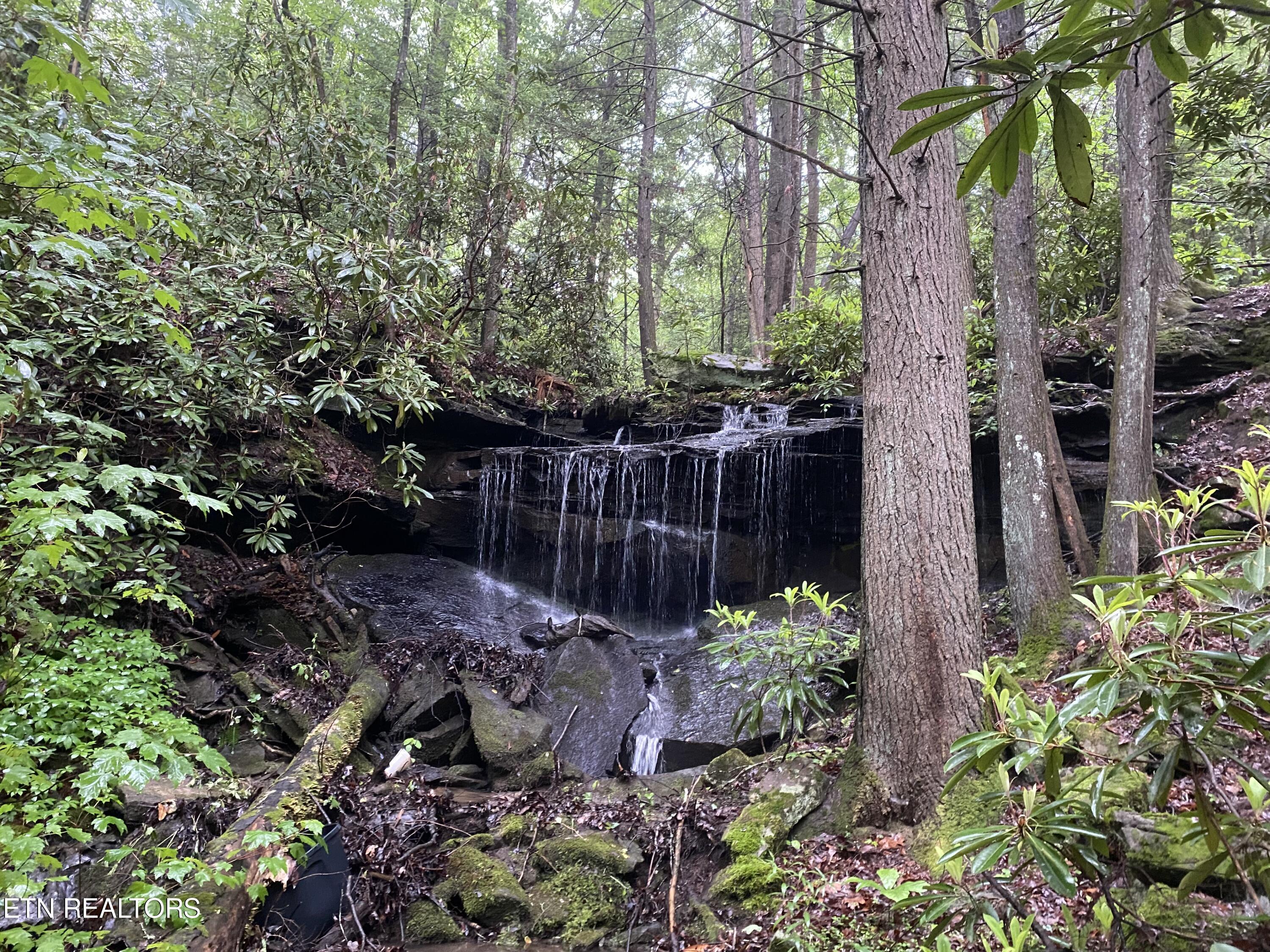 Big Spring Road Oneida TN 37841