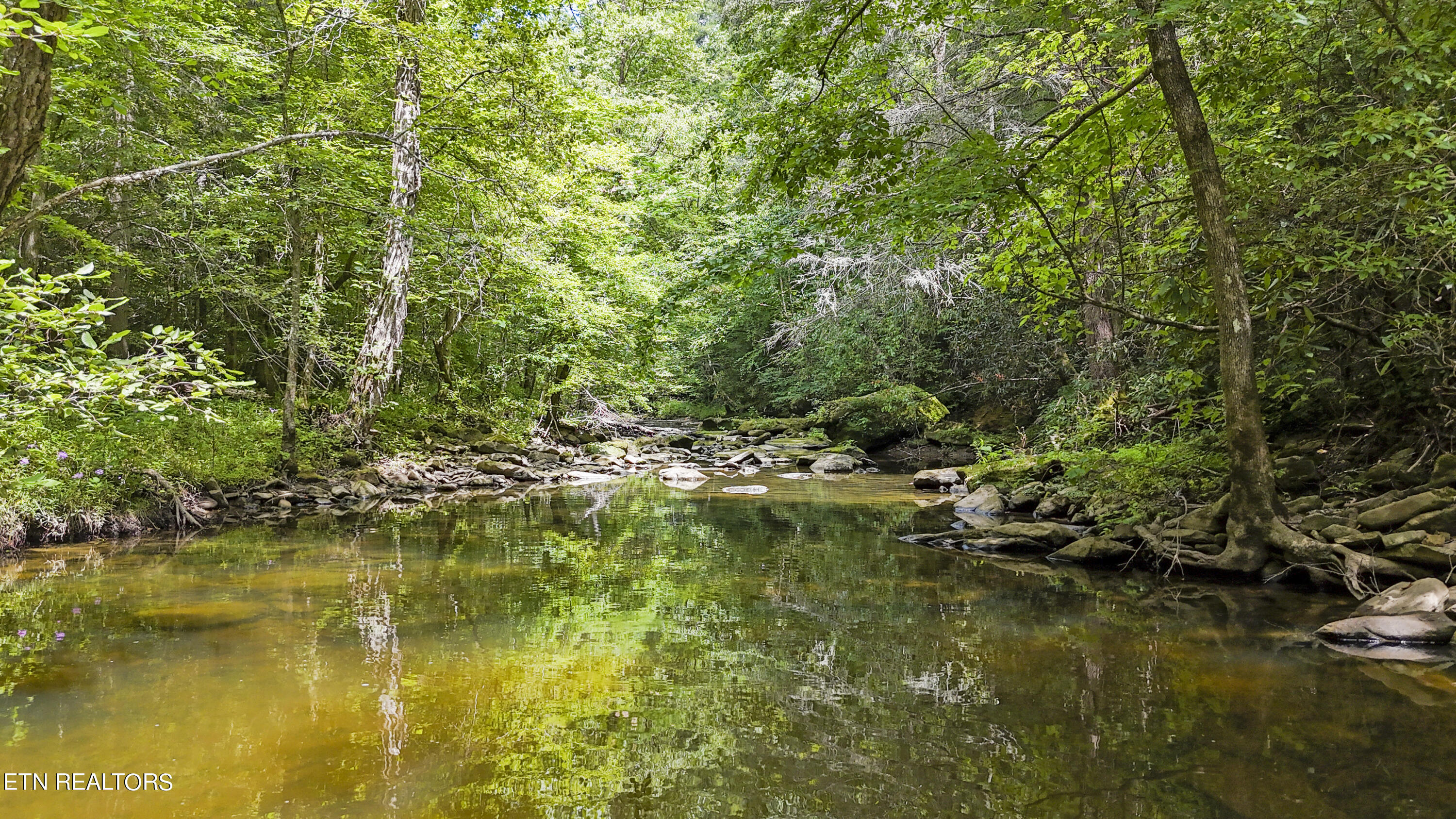 Big Spring Road Oneida TN 37841