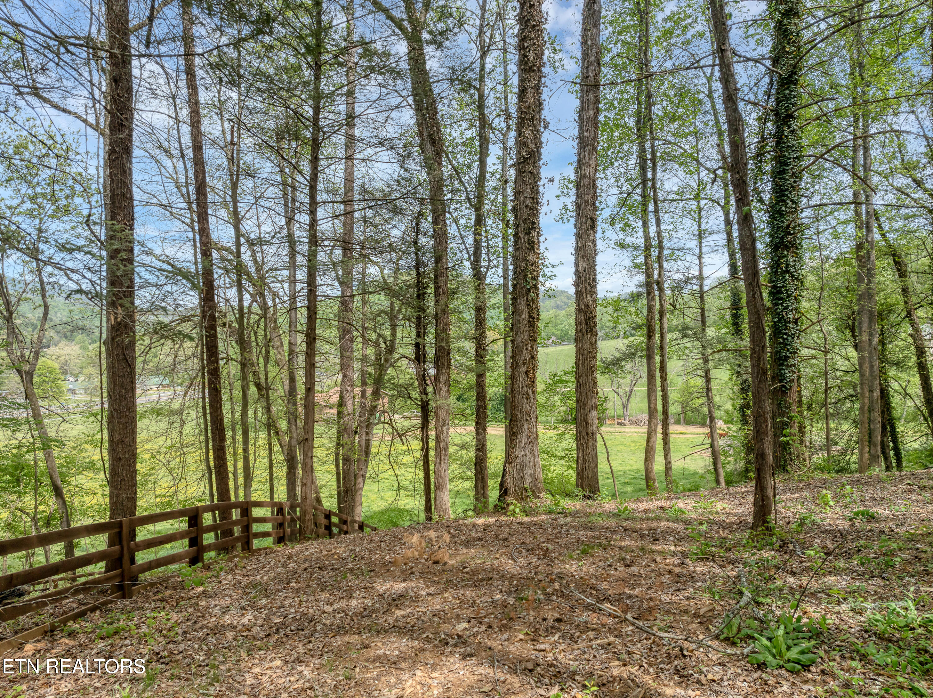 151 Bethel Church Road Townsend TN 37882