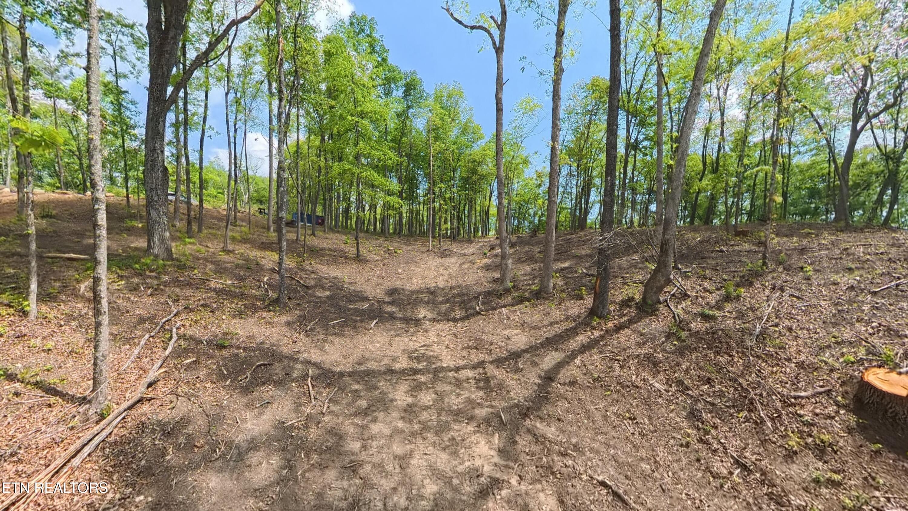 217 Eagle View Lane Jacksboro TN 37757