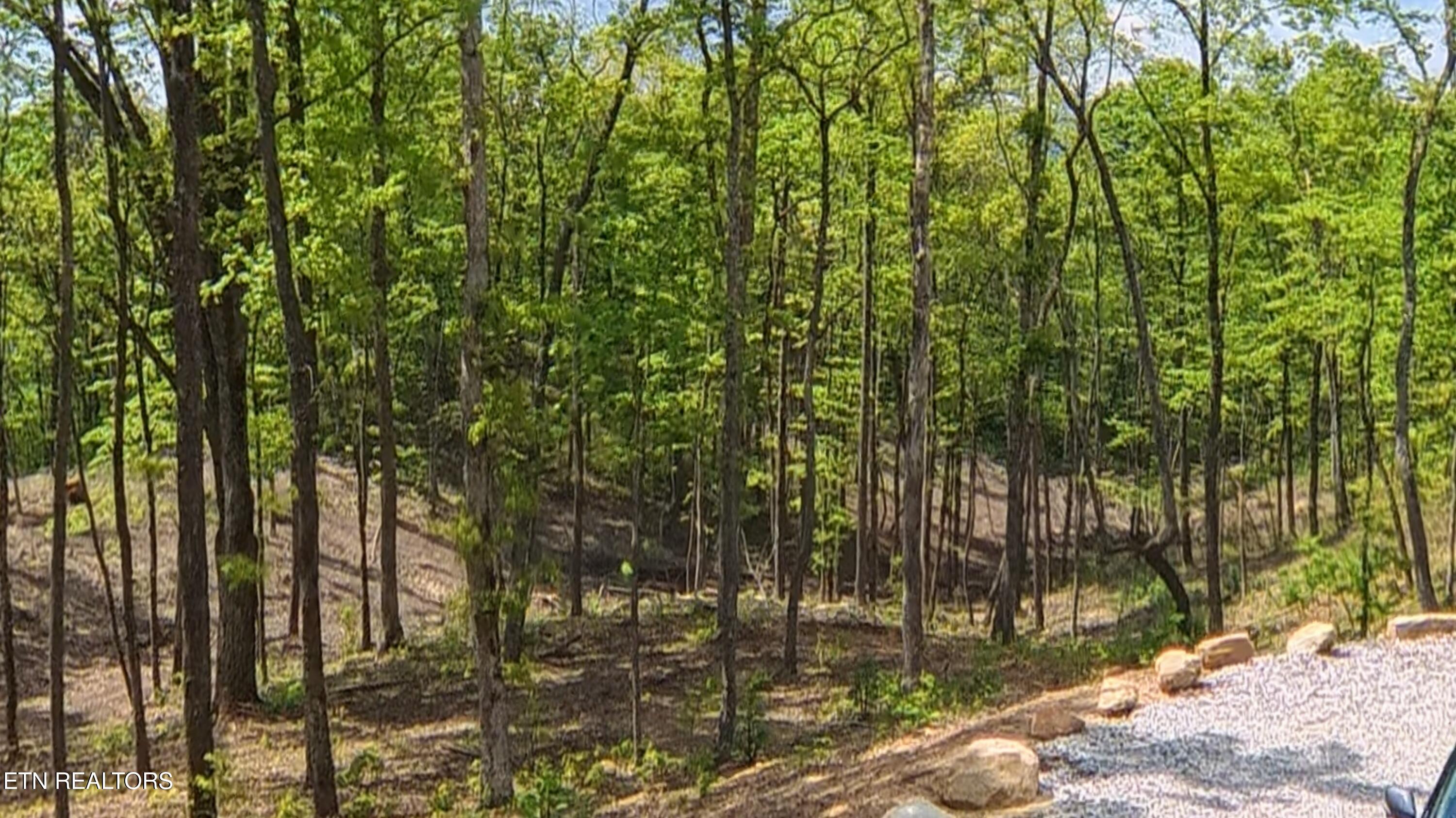 217 Eagle View Lane Jacksboro TN 37757