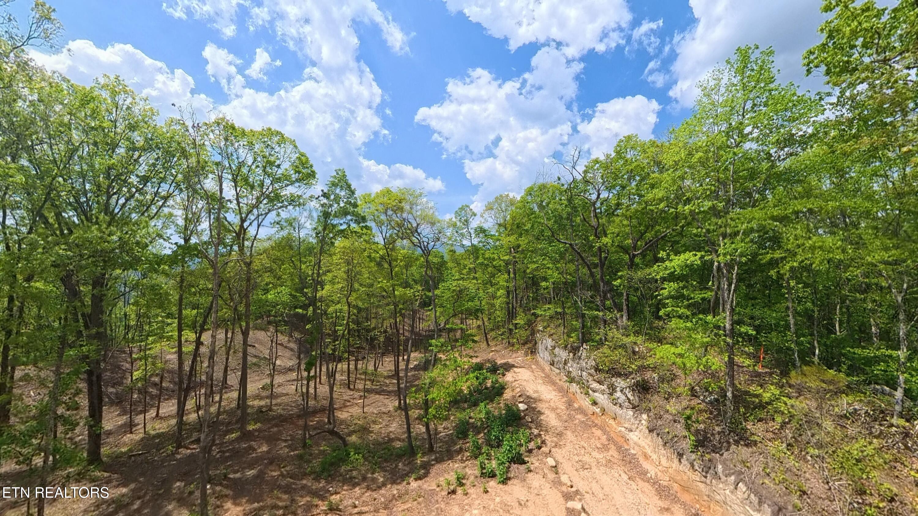 217 Eagle View Lane Jacksboro TN 37757