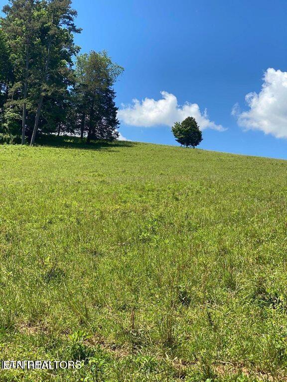 Lot 3 Chapman Road Lafollette TN 37766