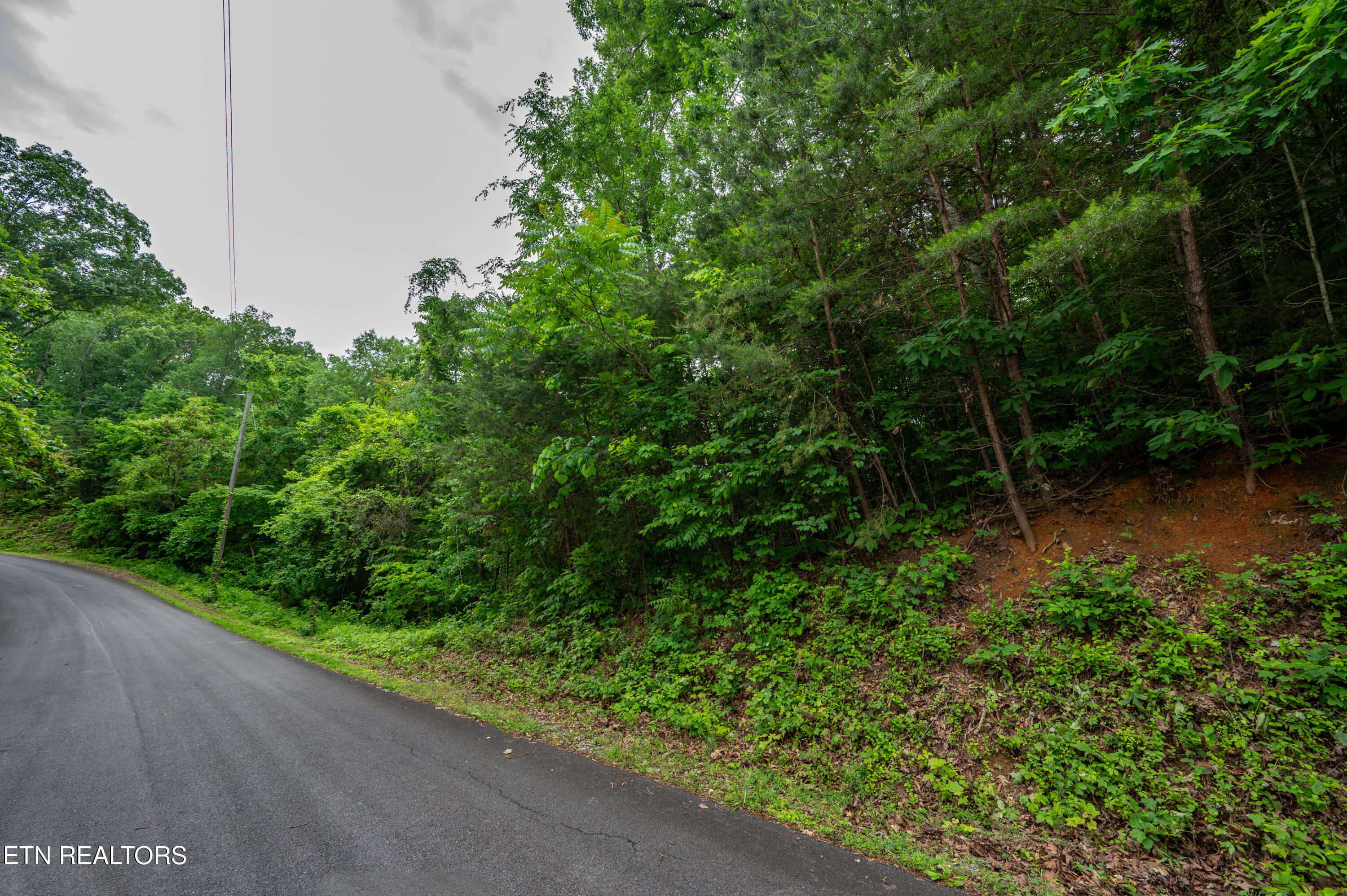 0 Aaron Street Sevierville TN 37876