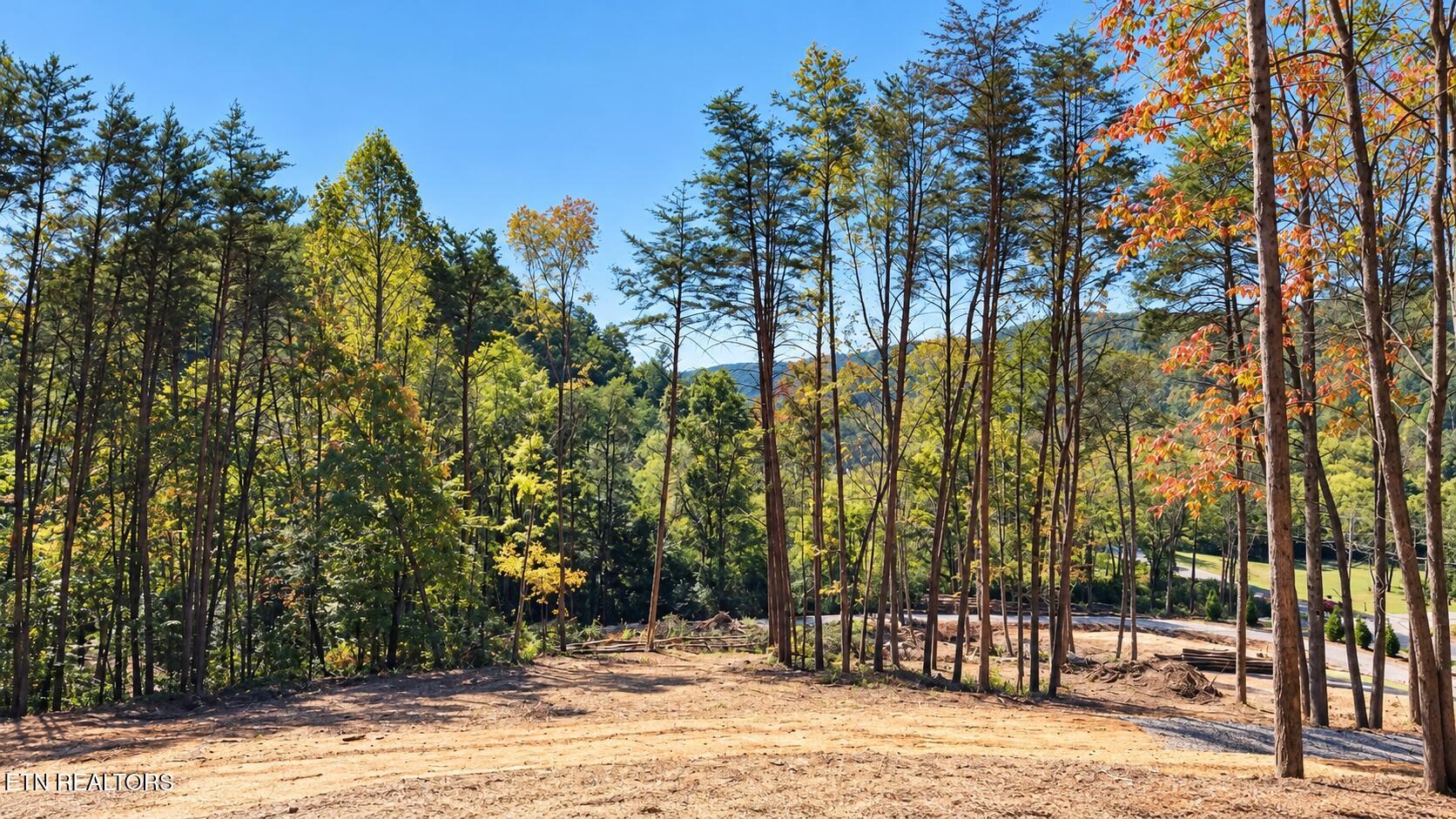 1134 Tarklin Valley Road Knoxville TN 37920