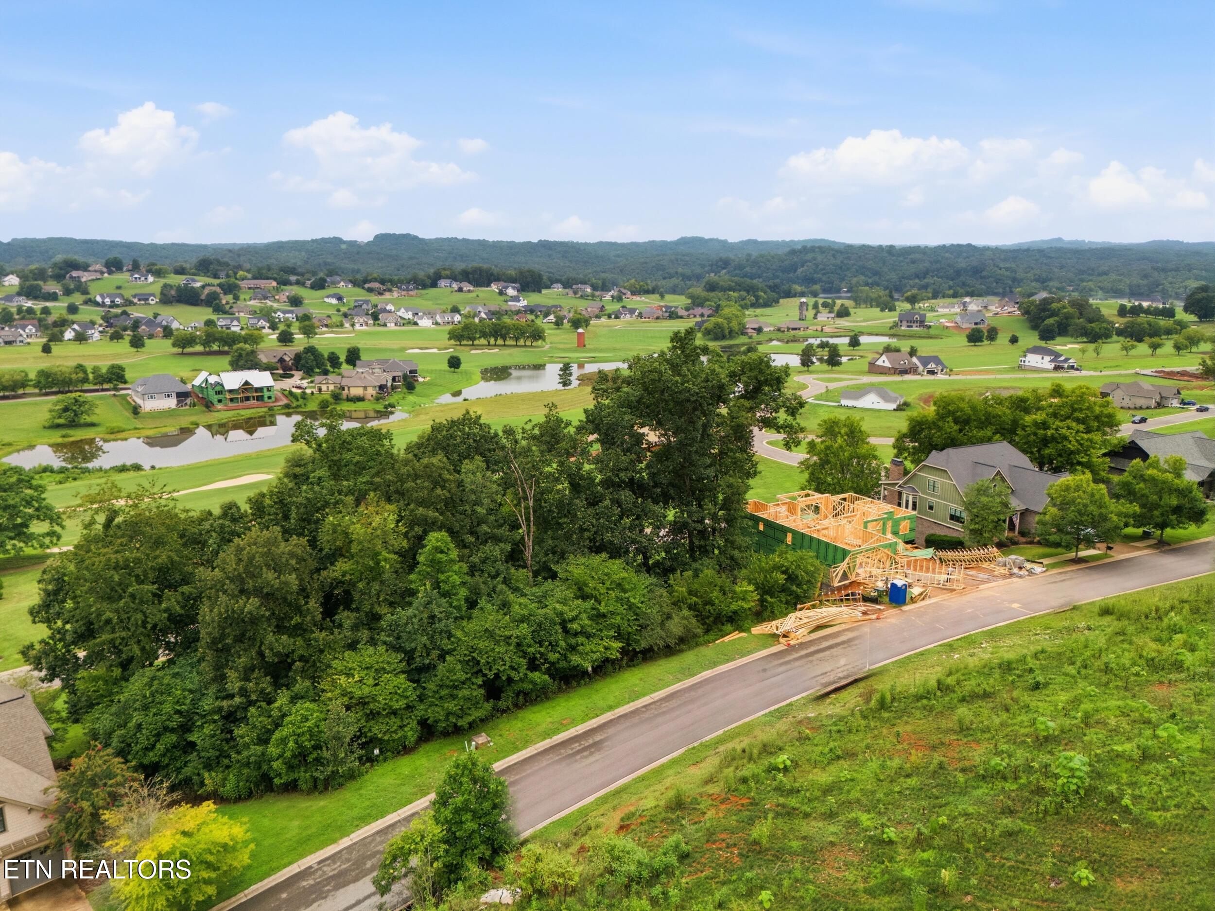 529 Black Cove Lane Loudon TN 37774